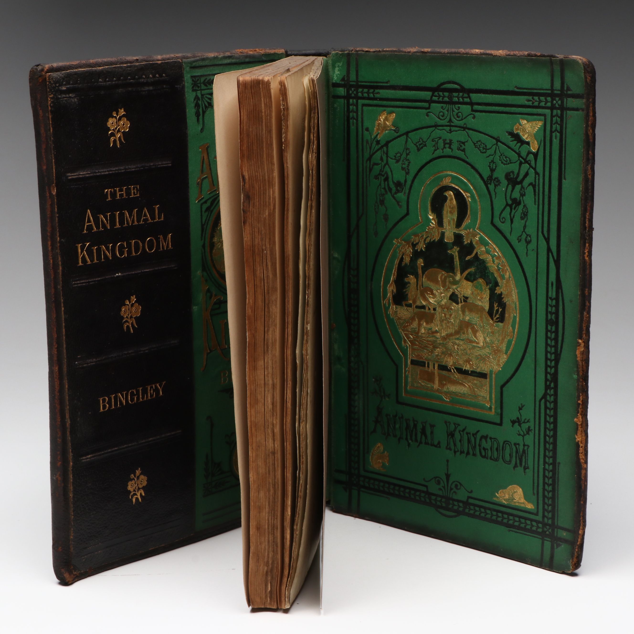 "The Animal Kingdom; Its Varieties and Oddities" by W. Bingley, Late 19th C.