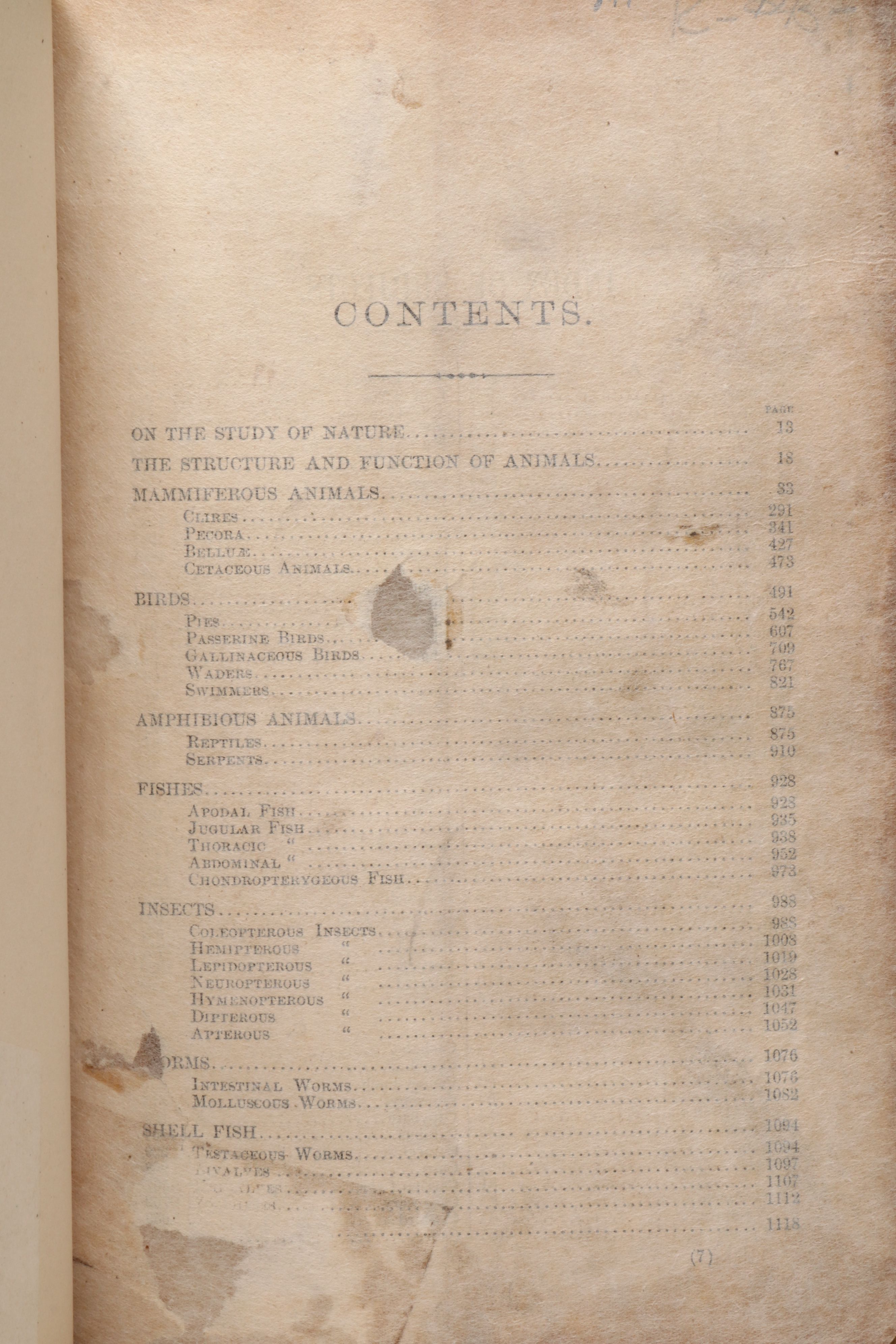"The Animal Kingdom; Its Varieties and Oddities" by W. Bingley, Late 19th C.