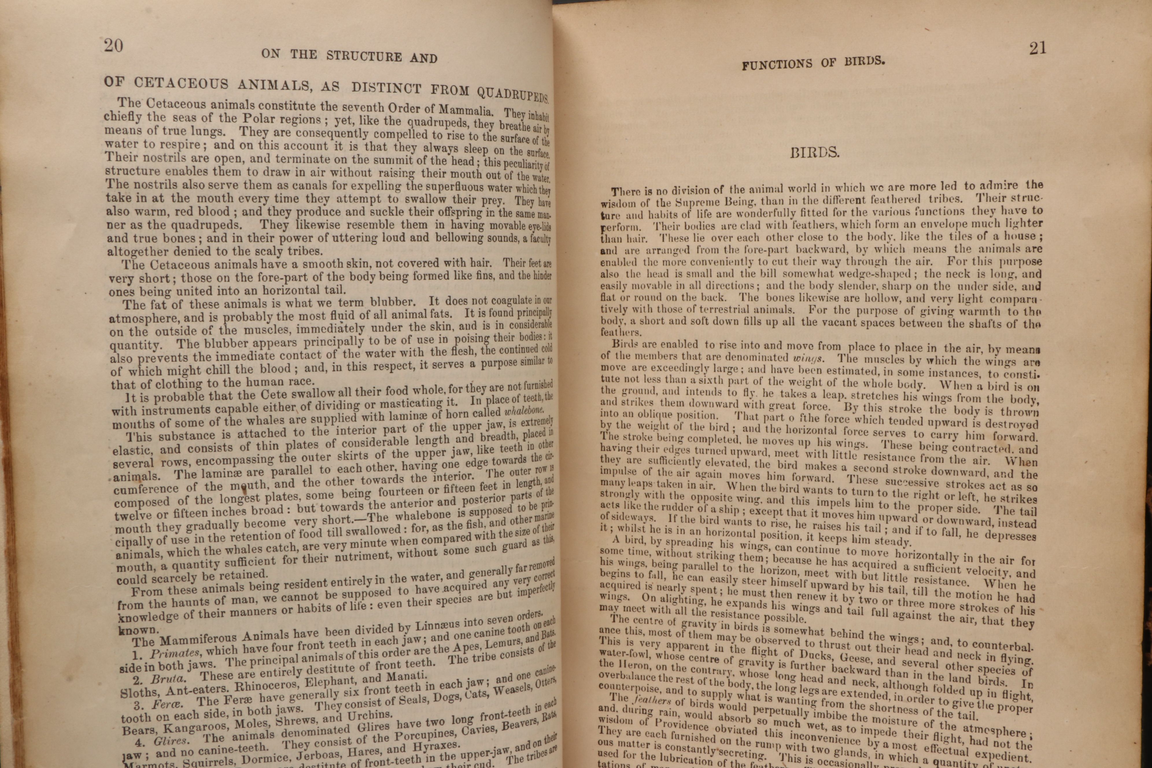 "The Animal Kingdom; Its Varieties and Oddities" by W. Bingley, Late 19th C.