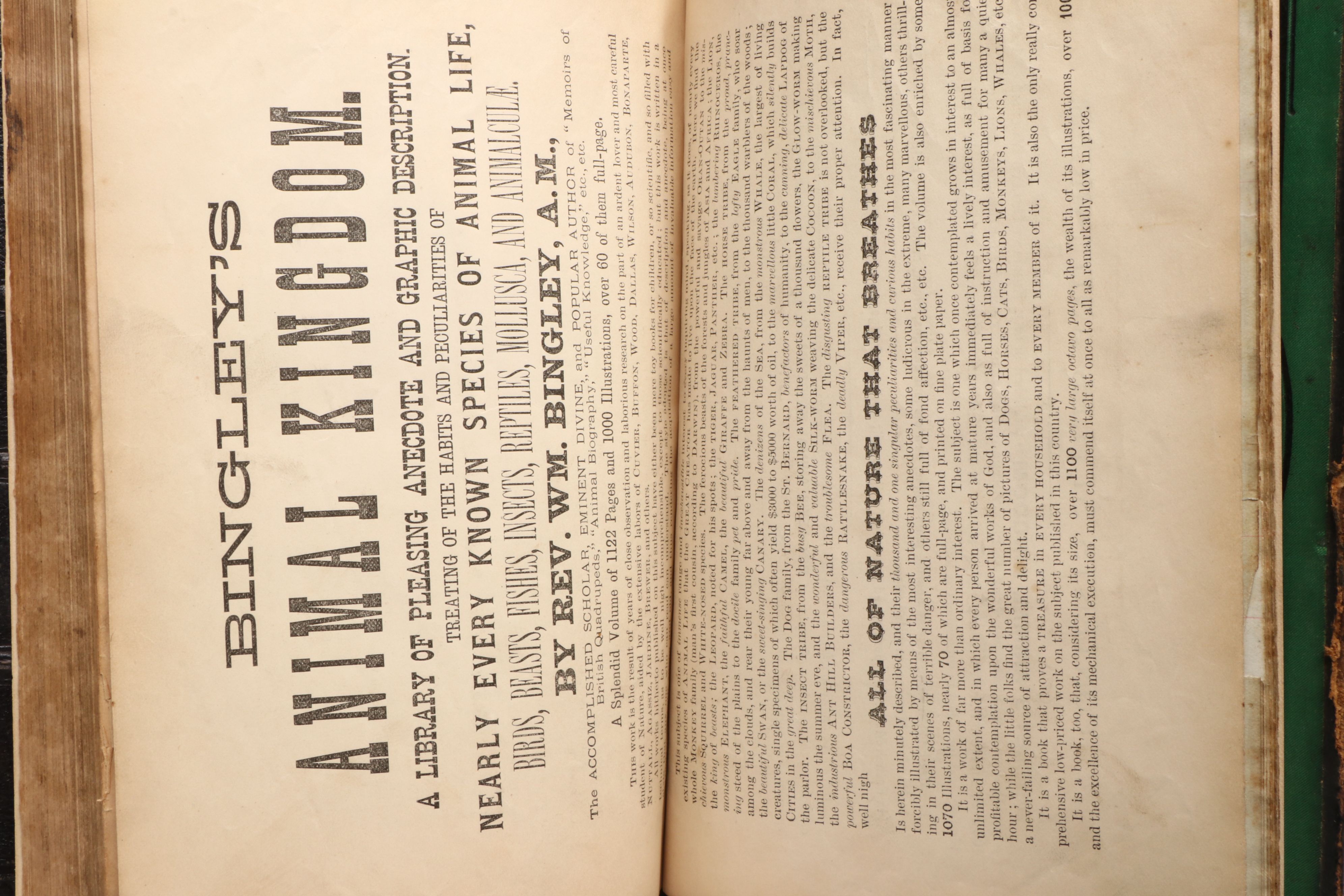 "The Animal Kingdom; Its Varieties and Oddities" by W. Bingley, Late 19th C.