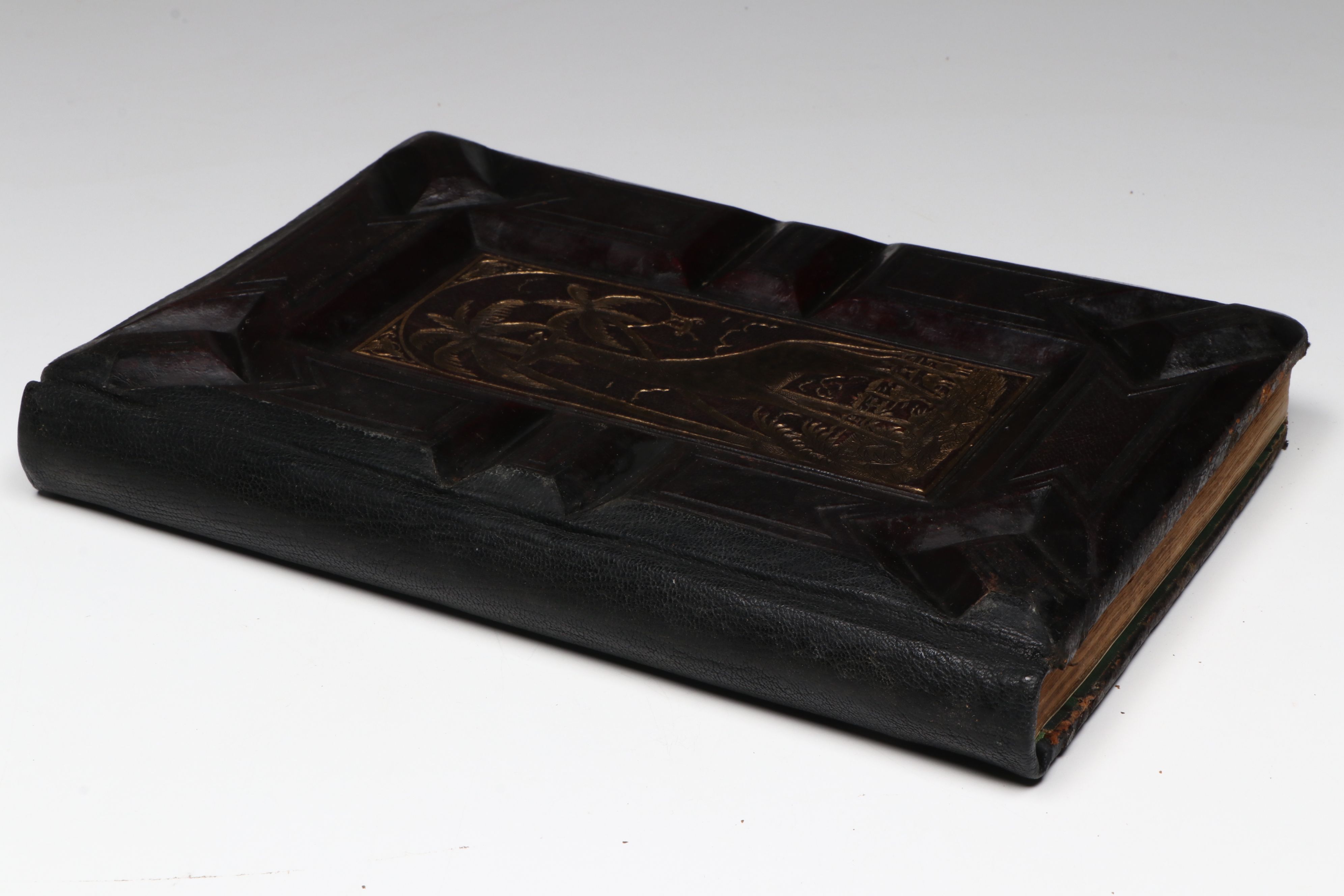 "The Animal Kingdom; Its Varieties and Oddities" by W. Bingley, Late 19th C.