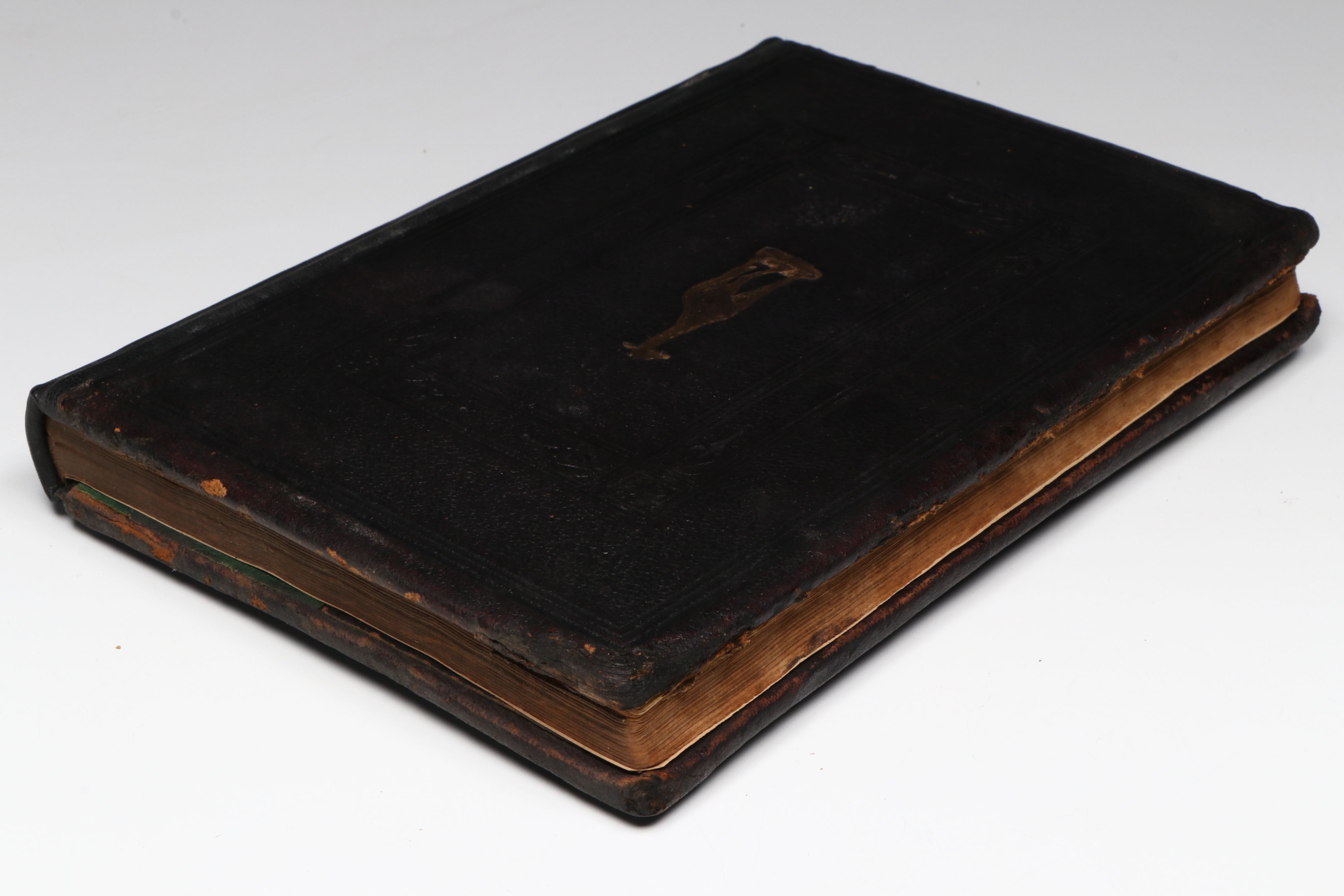 "The Animal Kingdom; Its Varieties and Oddities" by W. Bingley, Late 19th C.