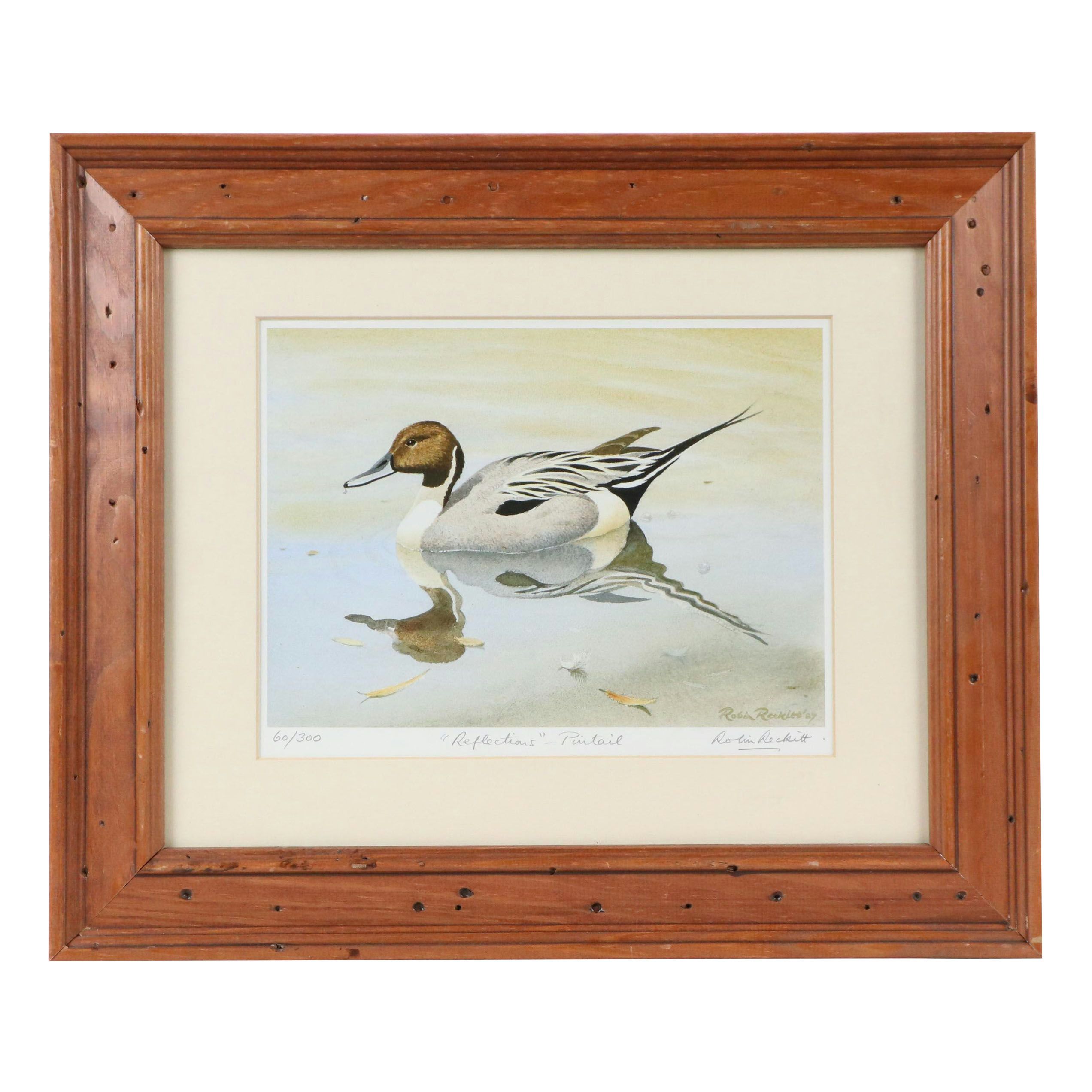 Robin Reckitt Offset Lithograph "Reflections - Pintail," 1987