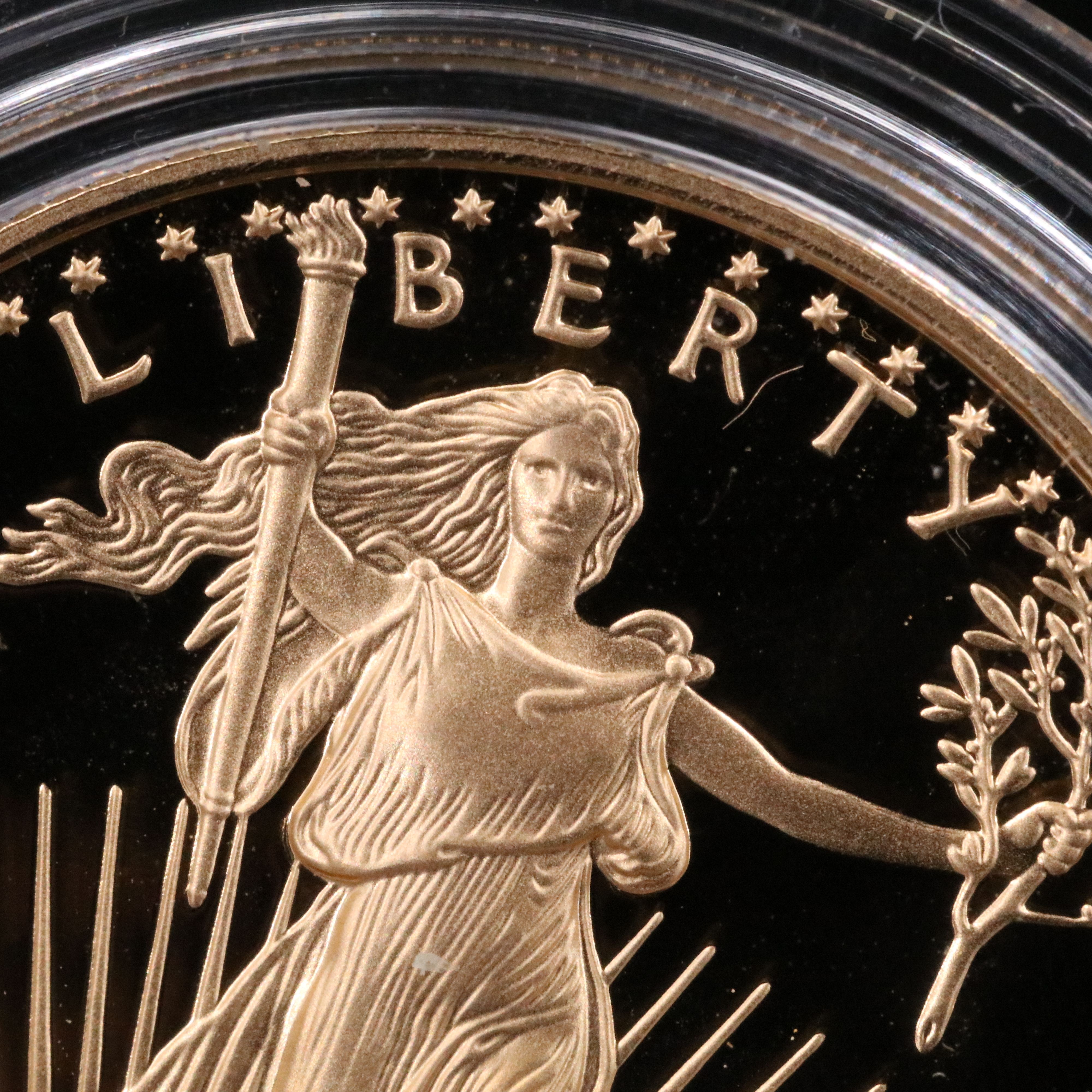 2007-W $25 Gold American Eagle Proof Coin