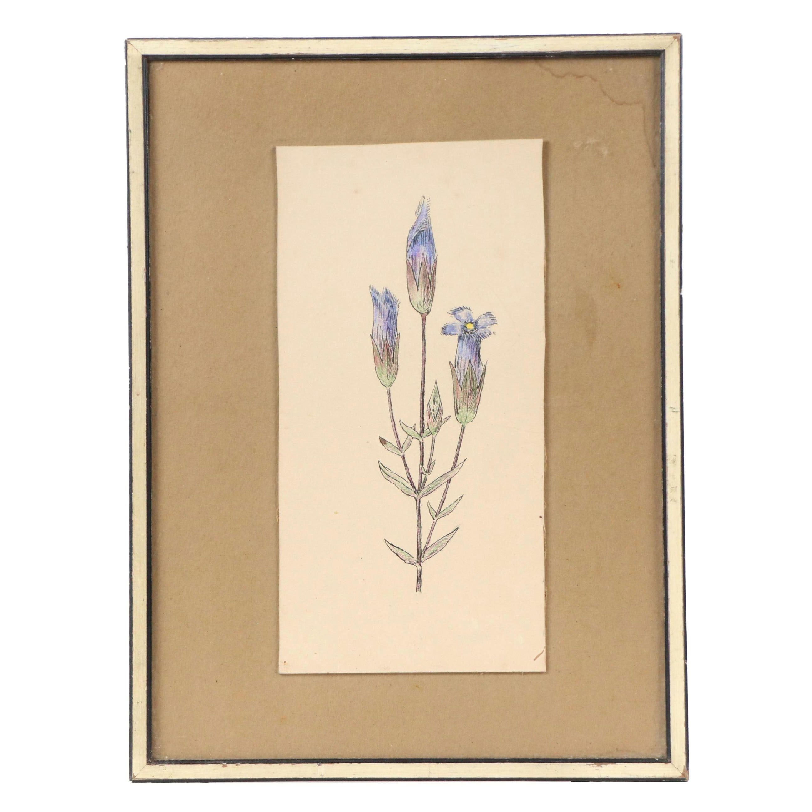 Theophilus Brown Mixed Media Drawing of Blue Flowers, 1961