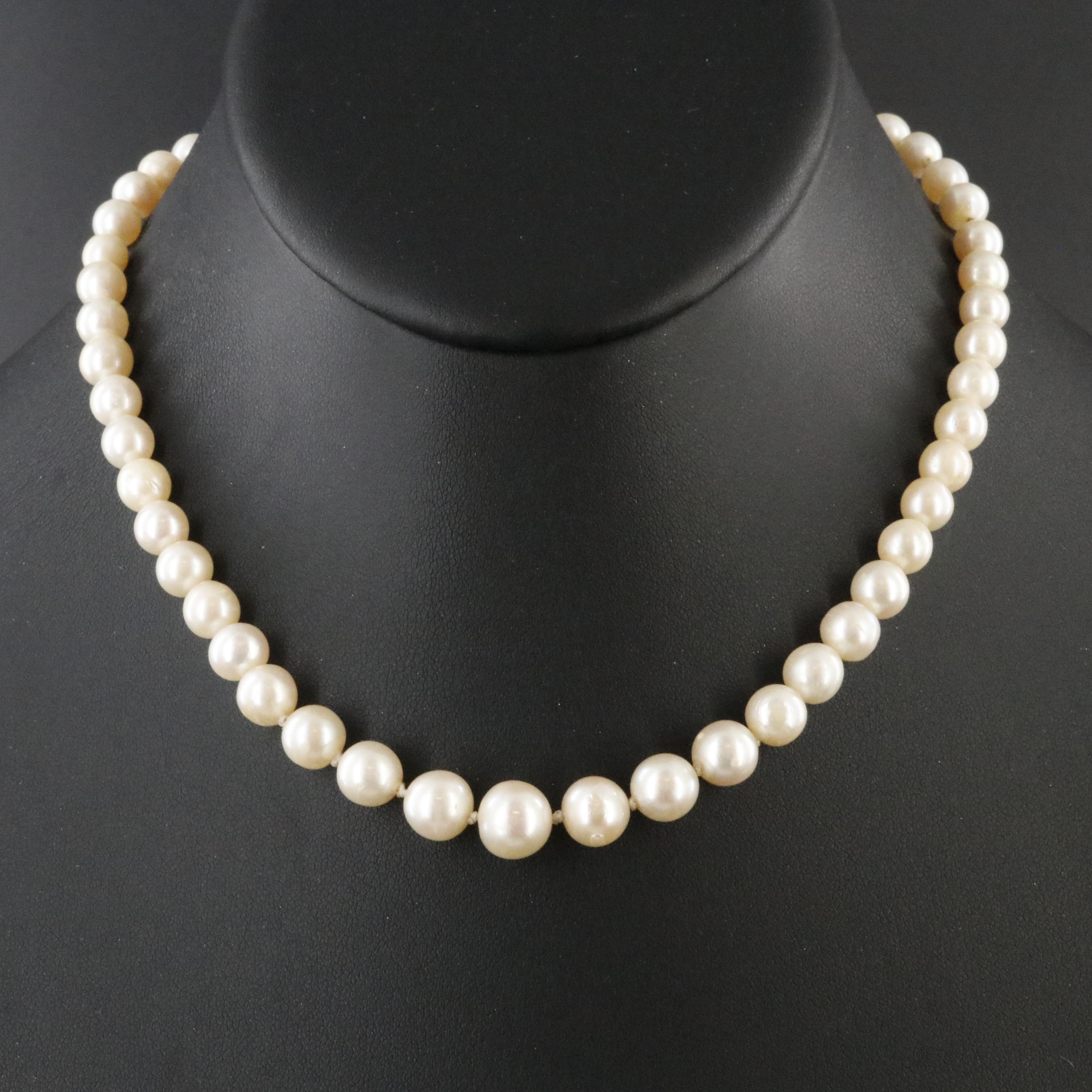 Graduate Pearl Necklace with Sterling Clasp