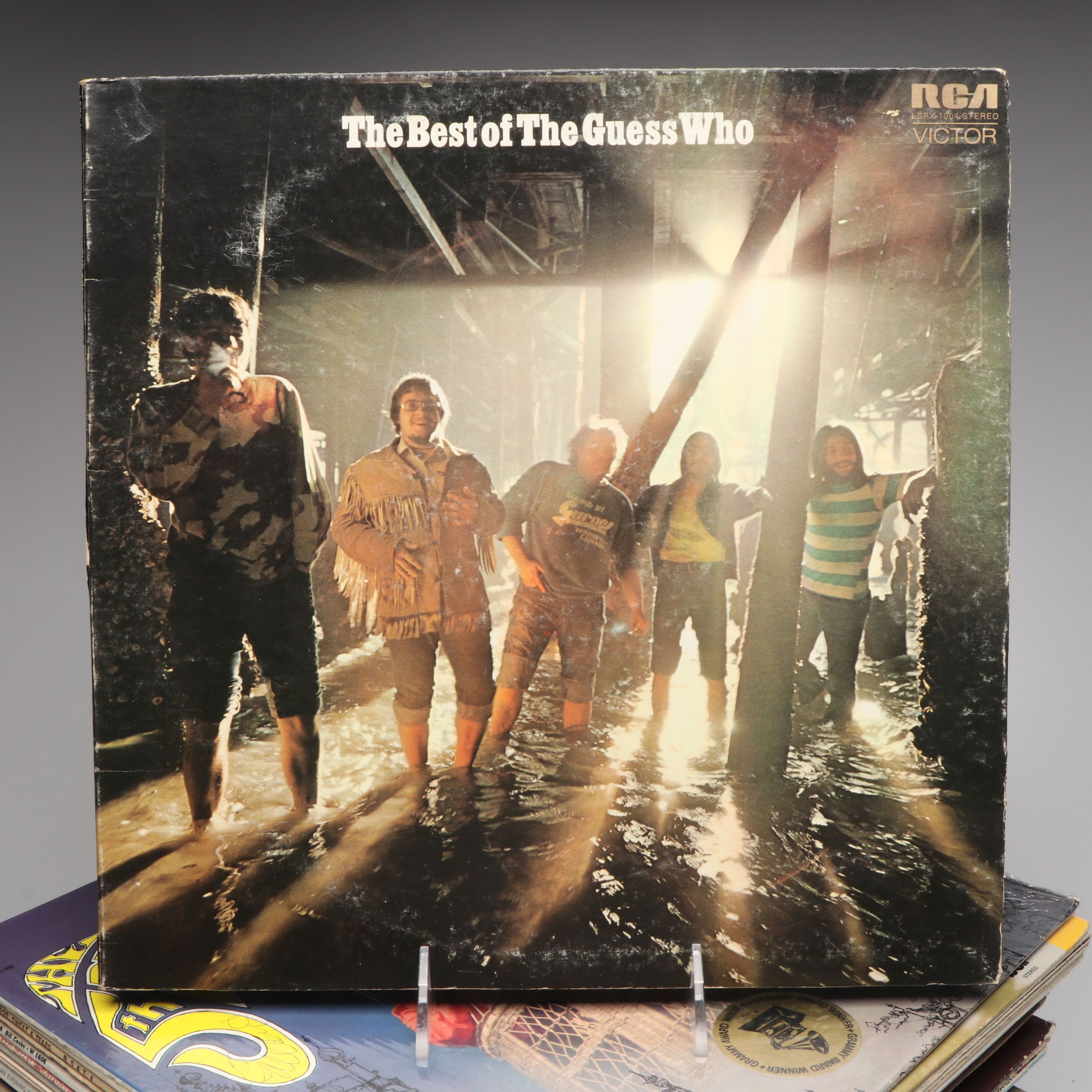 Judy Collins, Saturday Night Live, Bob Dylan and Other Vinyl Records