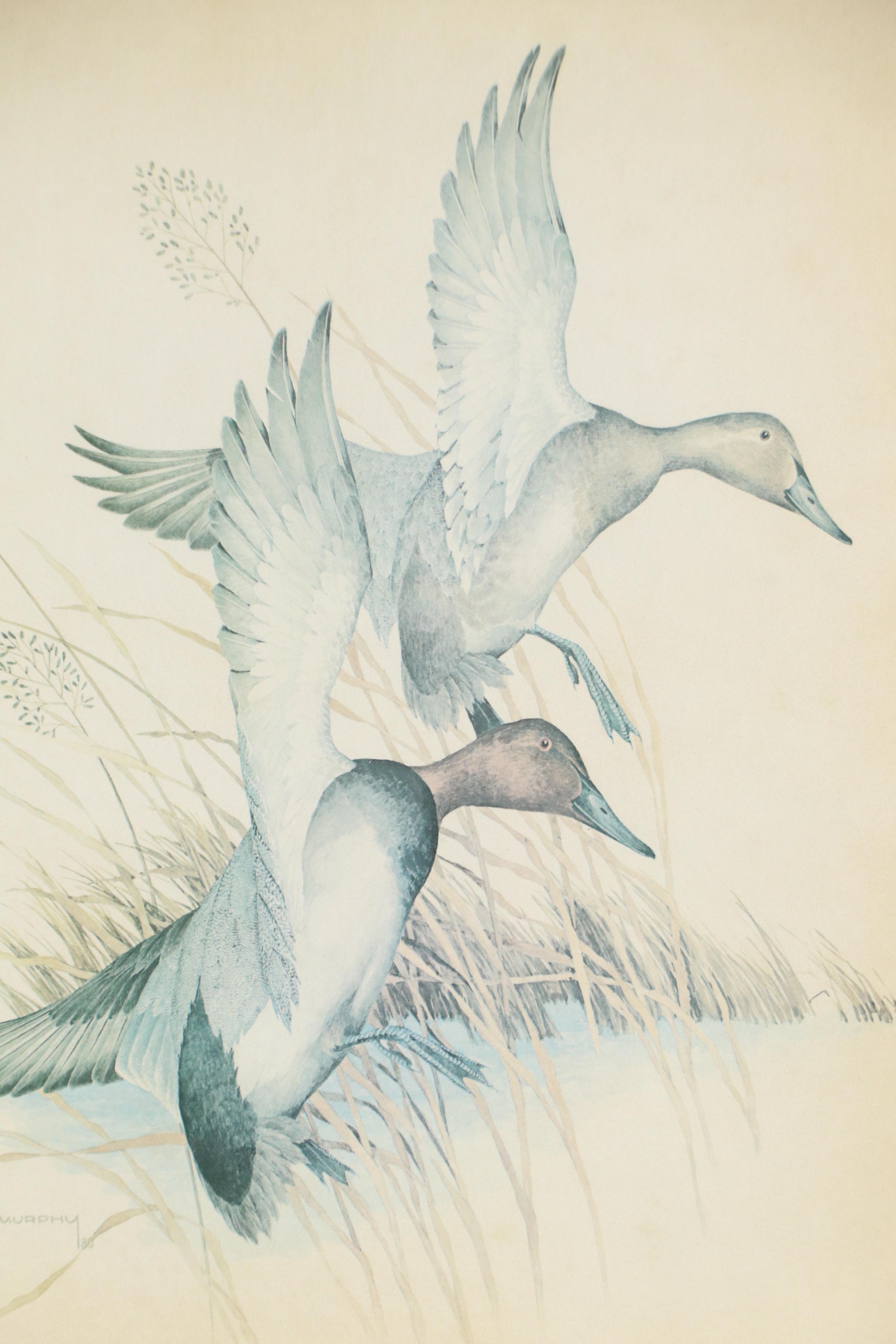 Offset Lithograph After Charles E. Murphy of Flying Ducks, Circa 1980