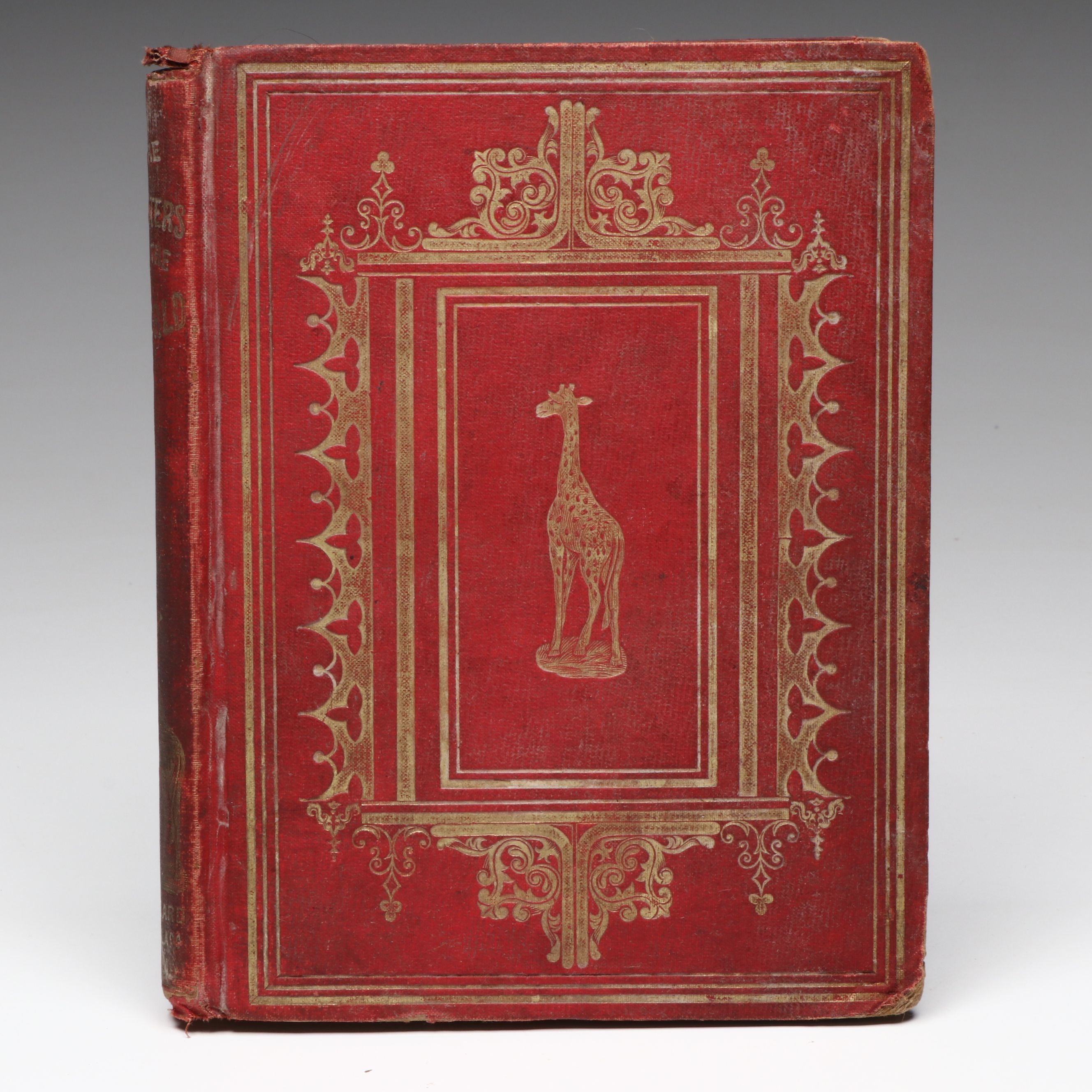 Illustrated "The Hunters of the World" by Theodor Dielitz, 1854