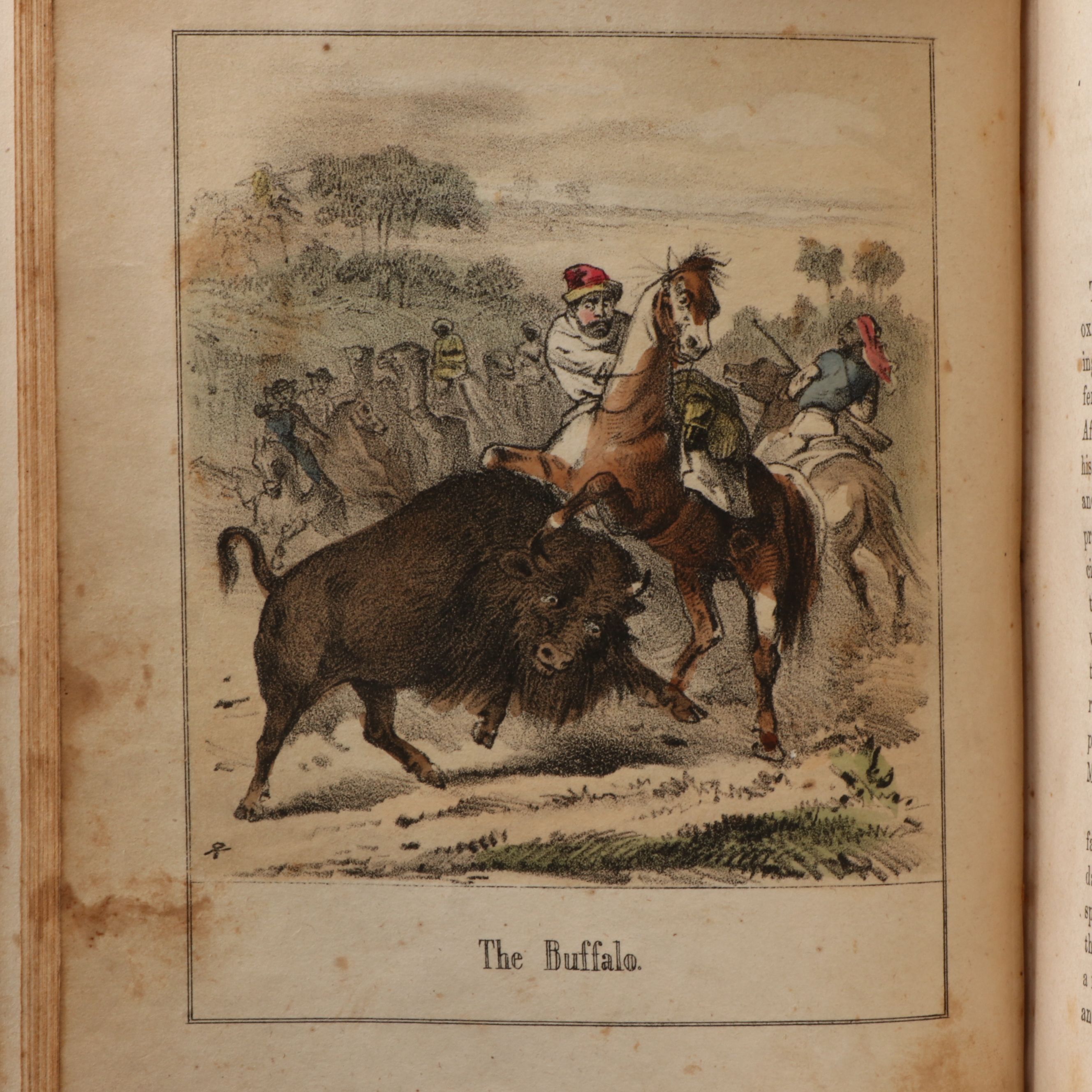 Illustrated "The Hunters of the World" by Theodor Dielitz, 1854