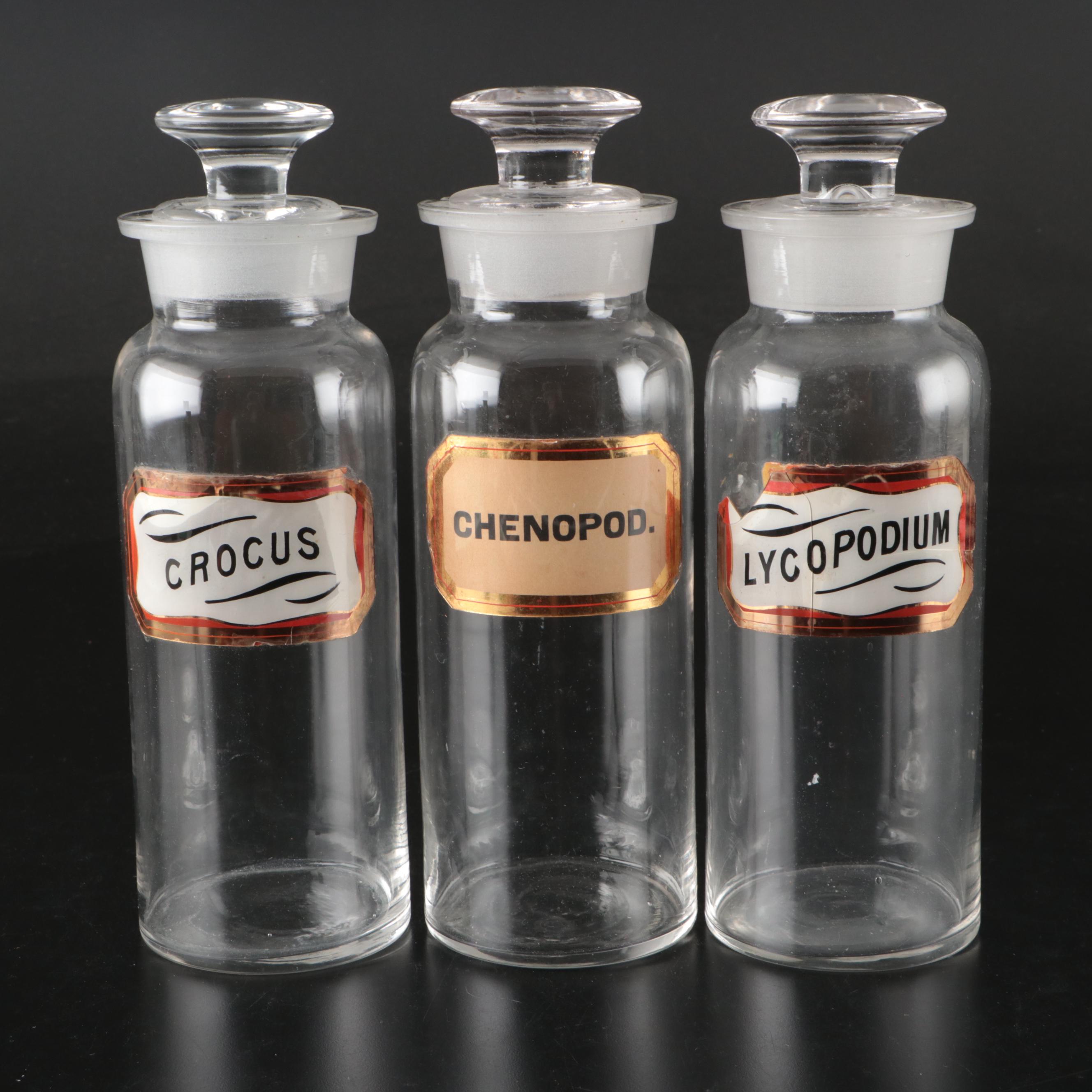 Crocus, Lycopodium, and Chenopod Glass Apothecary Jars