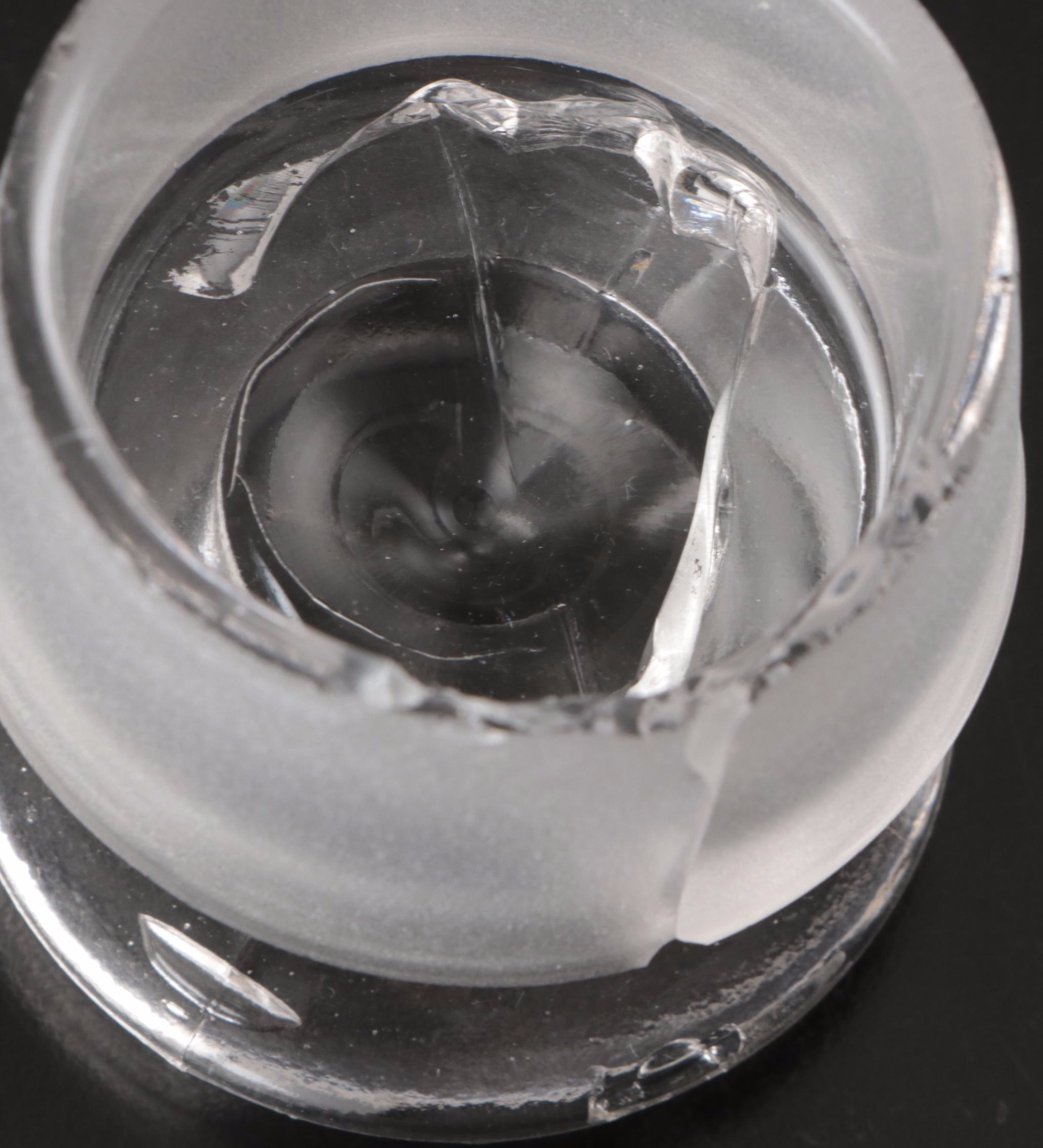 Crocus, Lycopodium, and Chenopod Glass Apothecary Jars