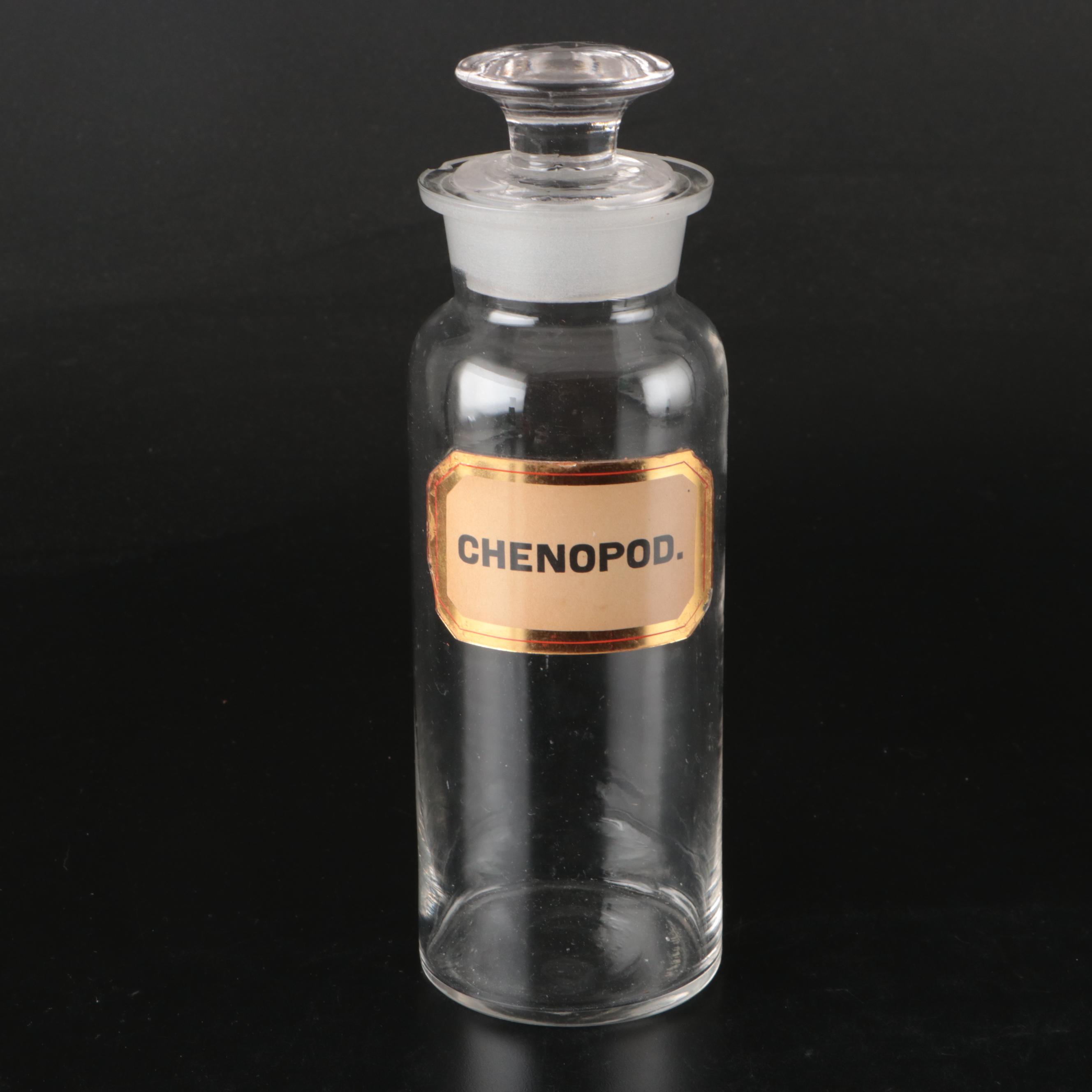 Crocus, Lycopodium, and Chenopod Glass Apothecary Jars