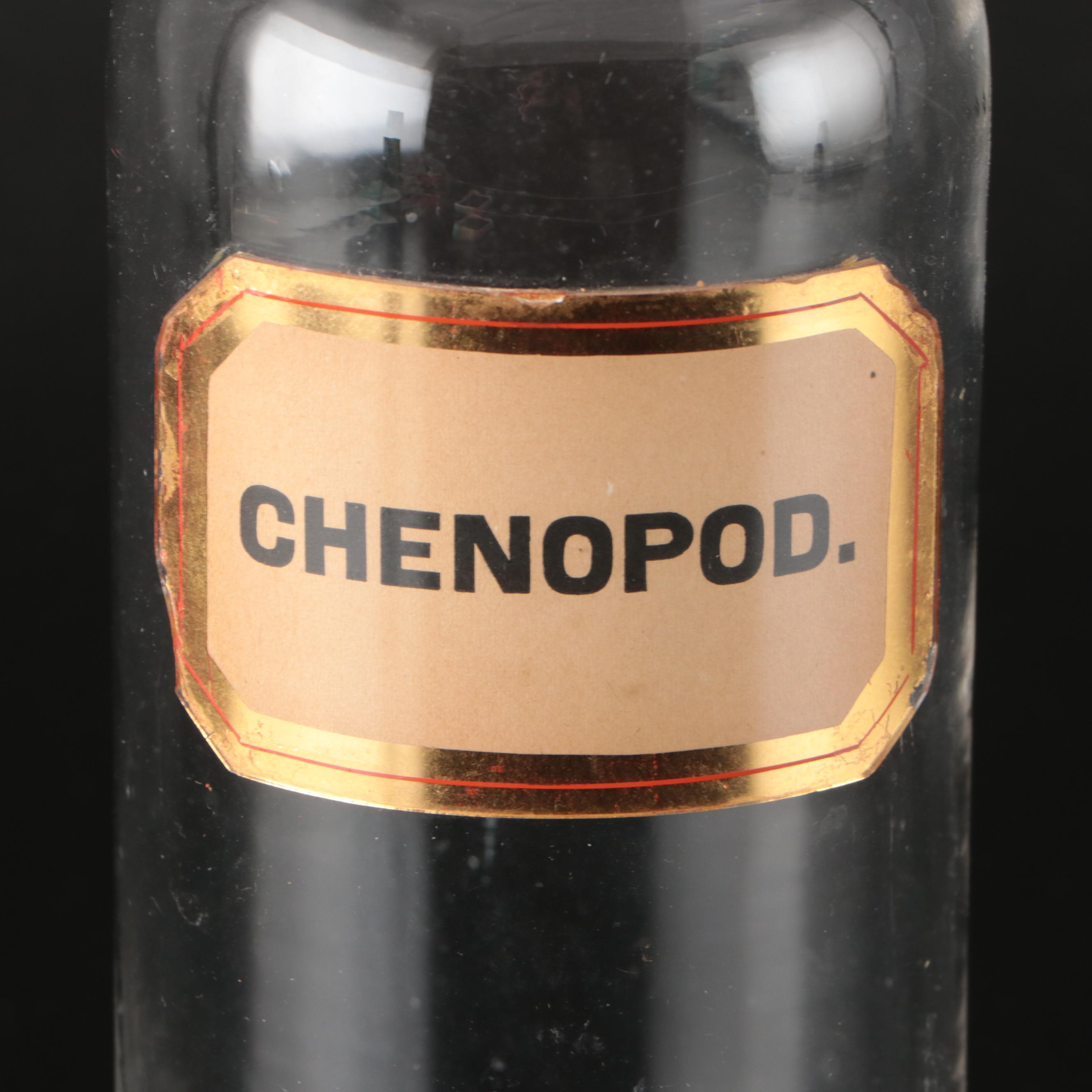 Crocus, Lycopodium, and Chenopod Glass Apothecary Jars