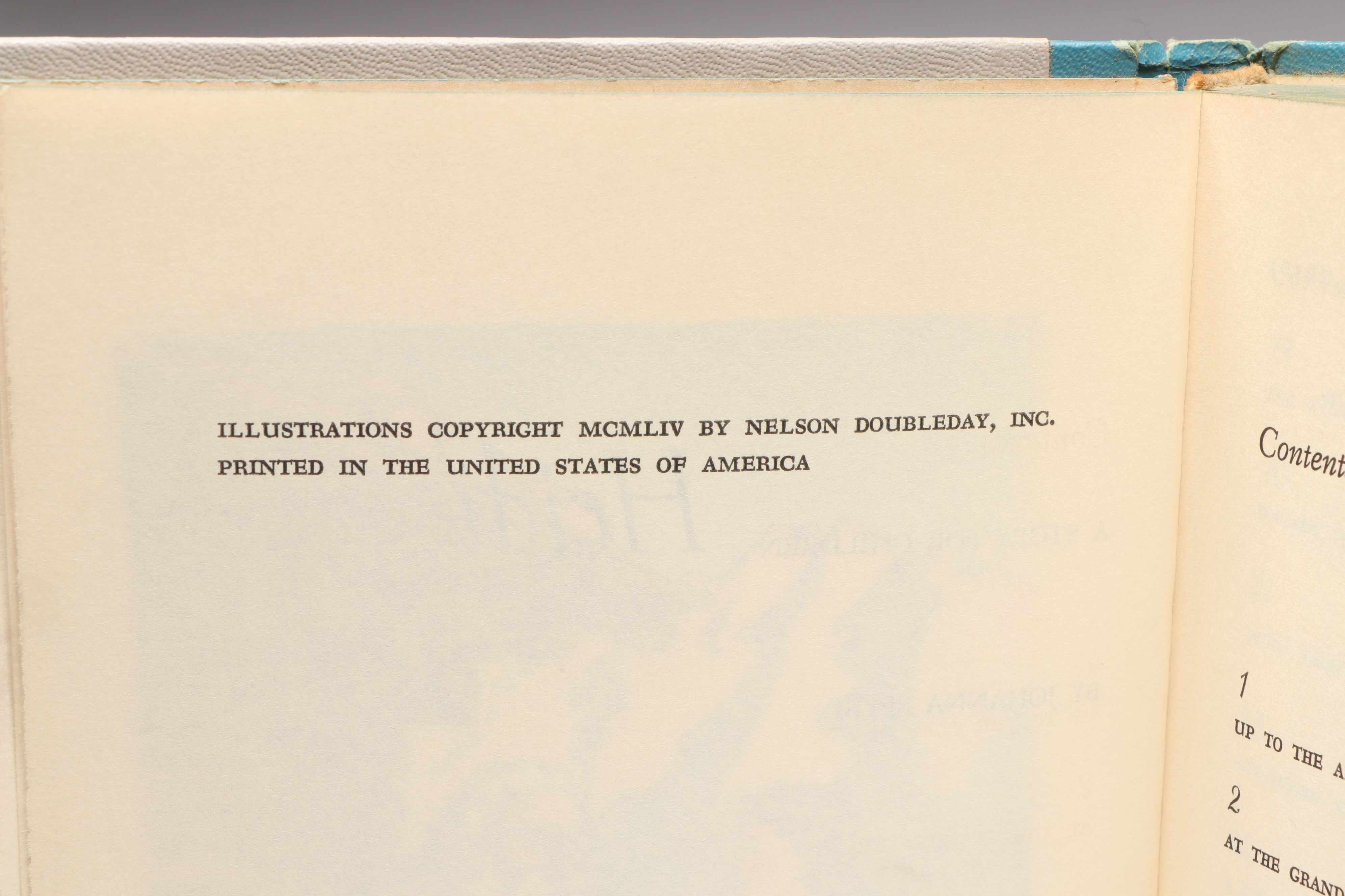 Illustrated "The Real Mother Goose" with "Heidi" and Other Storybooks