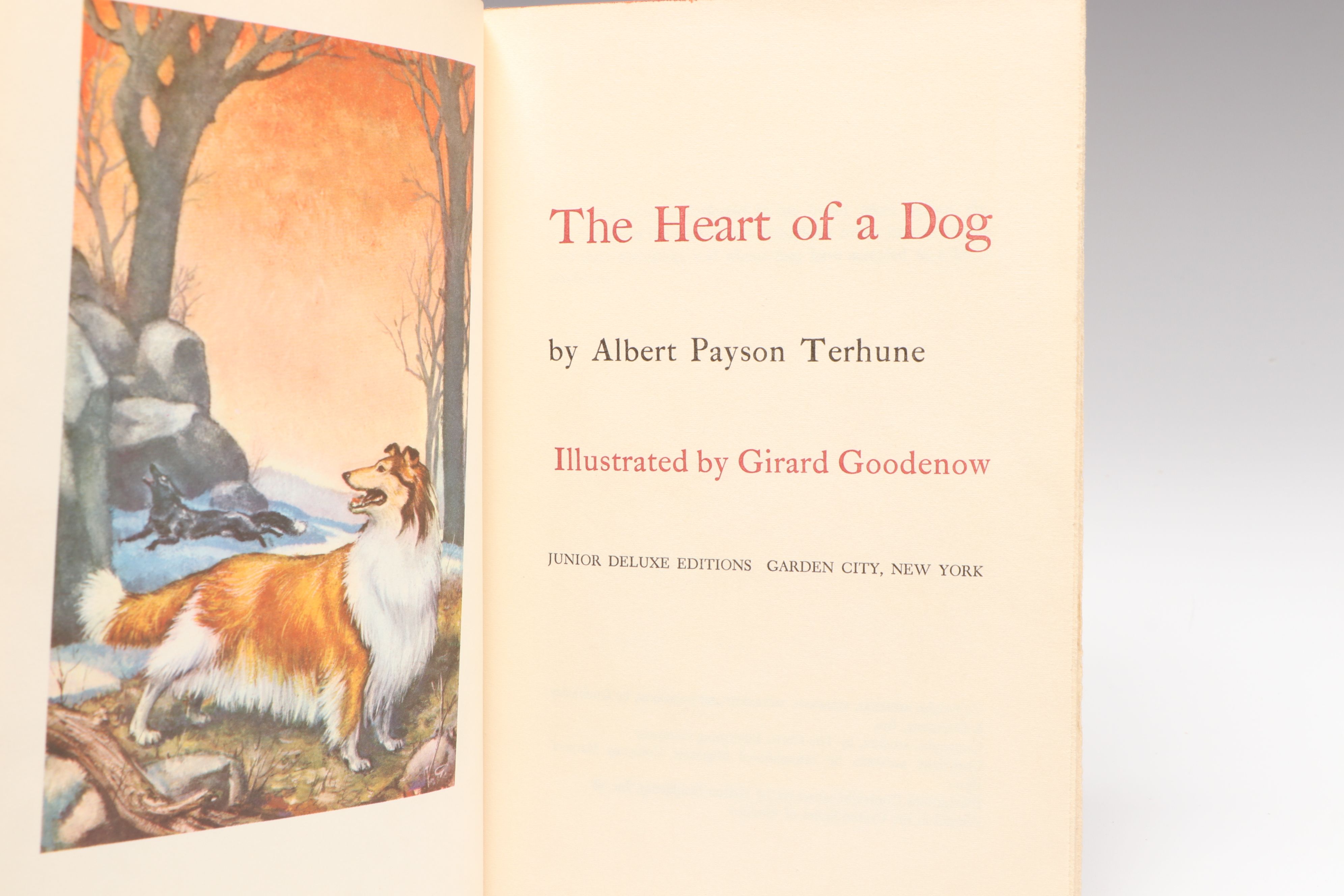 Illustrated "The Real Mother Goose" with "Heidi" and Other Storybooks