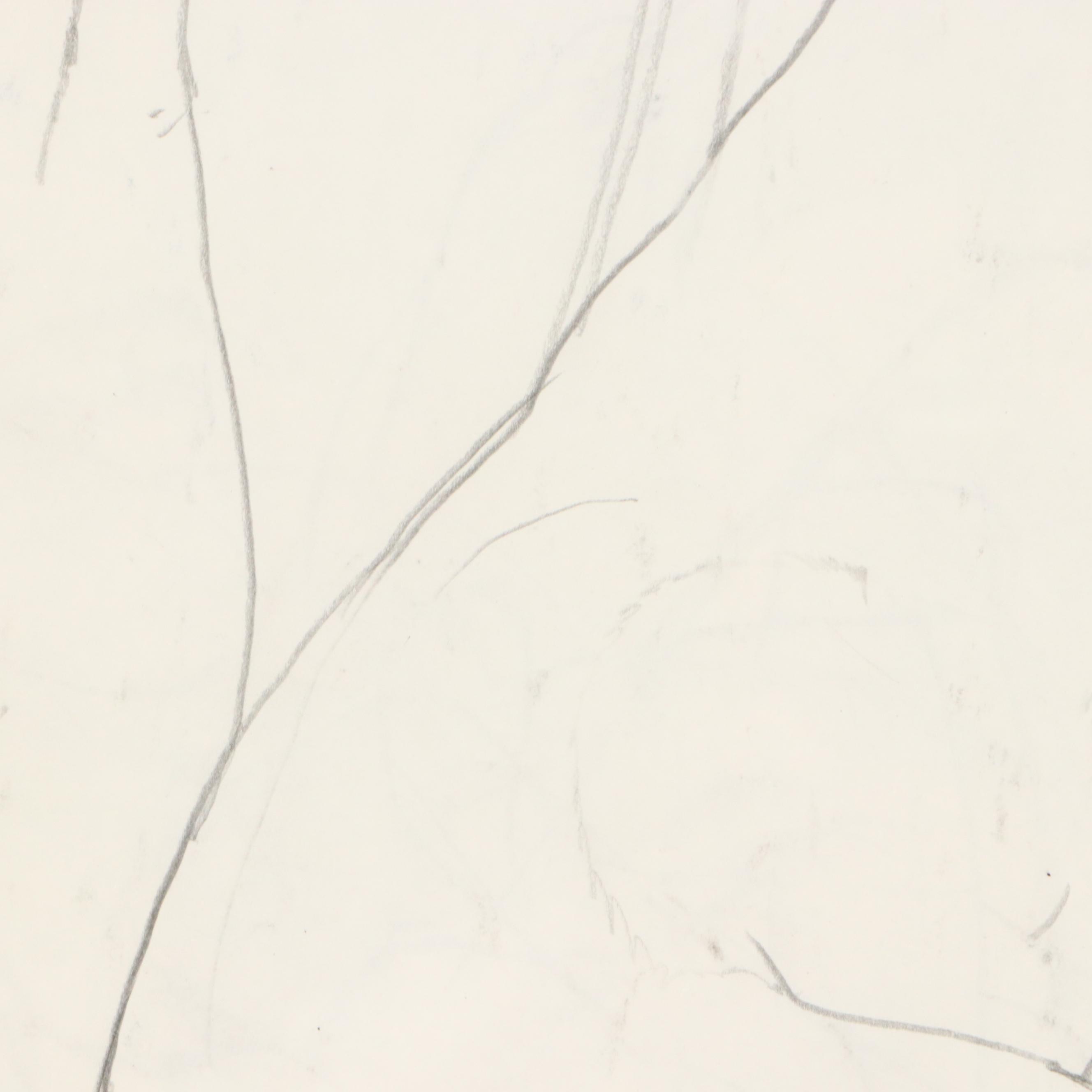 Paul Wagener Double-Sided Mixed Media Drawings of Nude Figure Studies