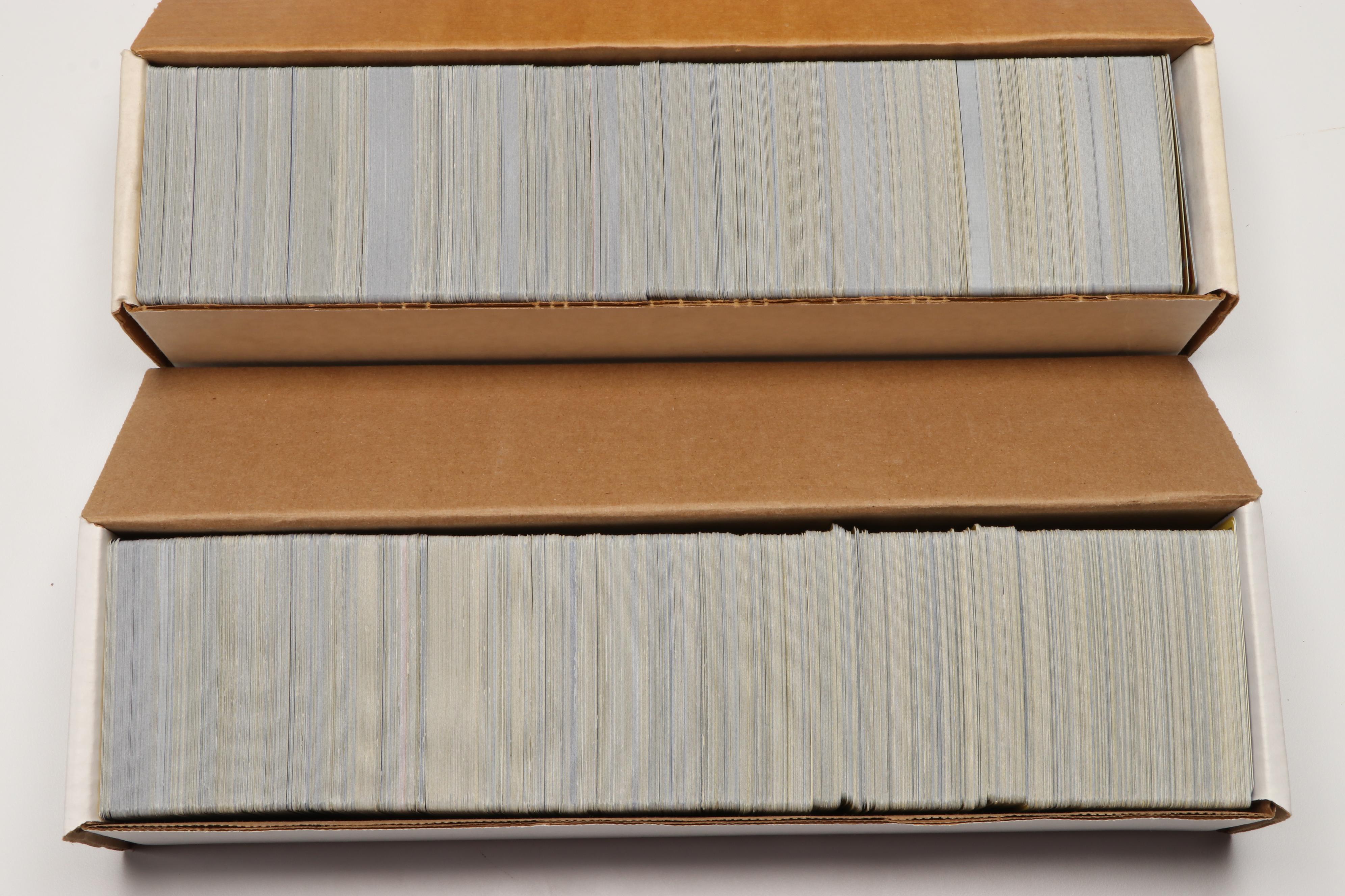 Pokémon Trading Cards in Album and Storage Boxes Incl. Holofoil Sceptile