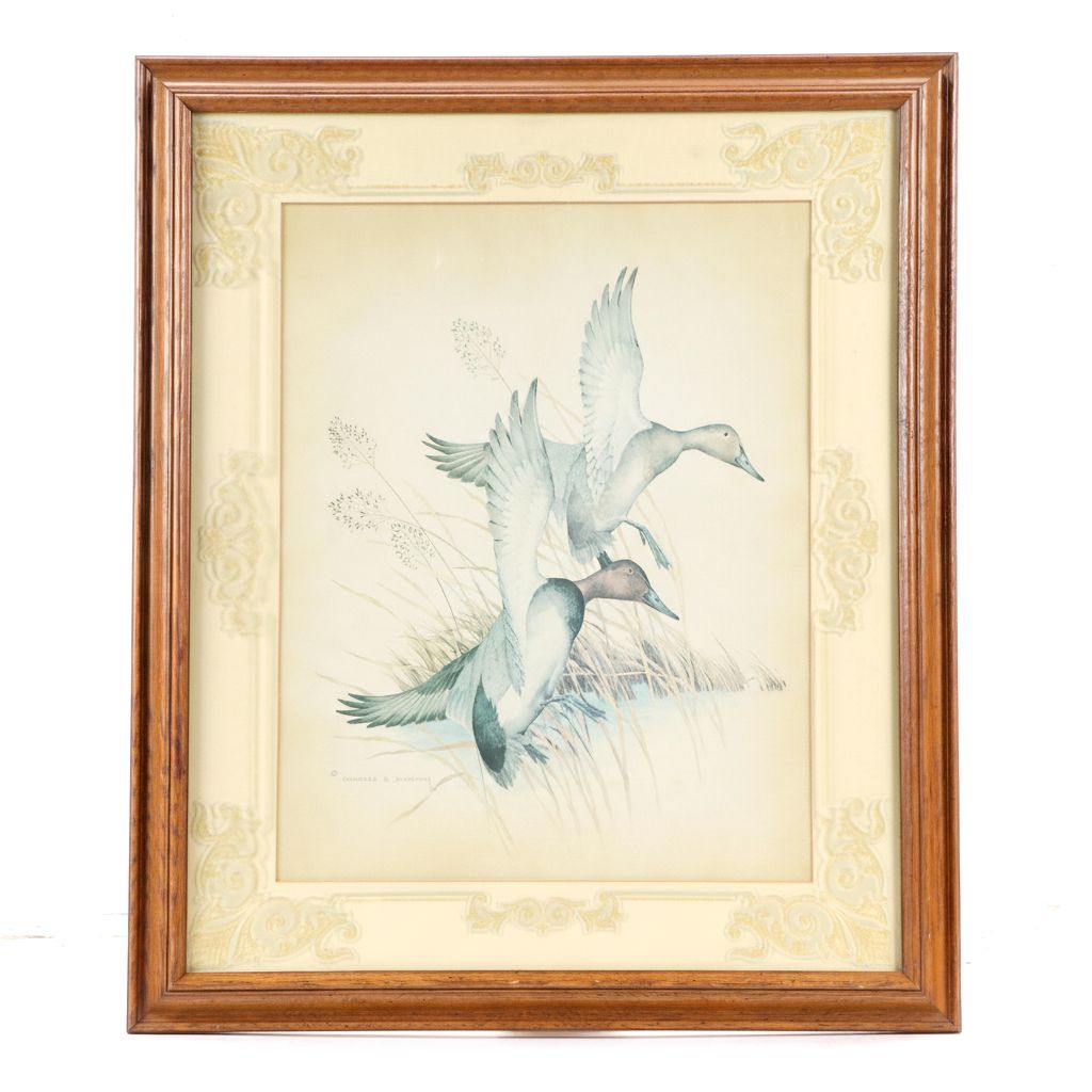 Offset Lithograph After Charles E. Murphy of Flying Ducks, Circa 1980