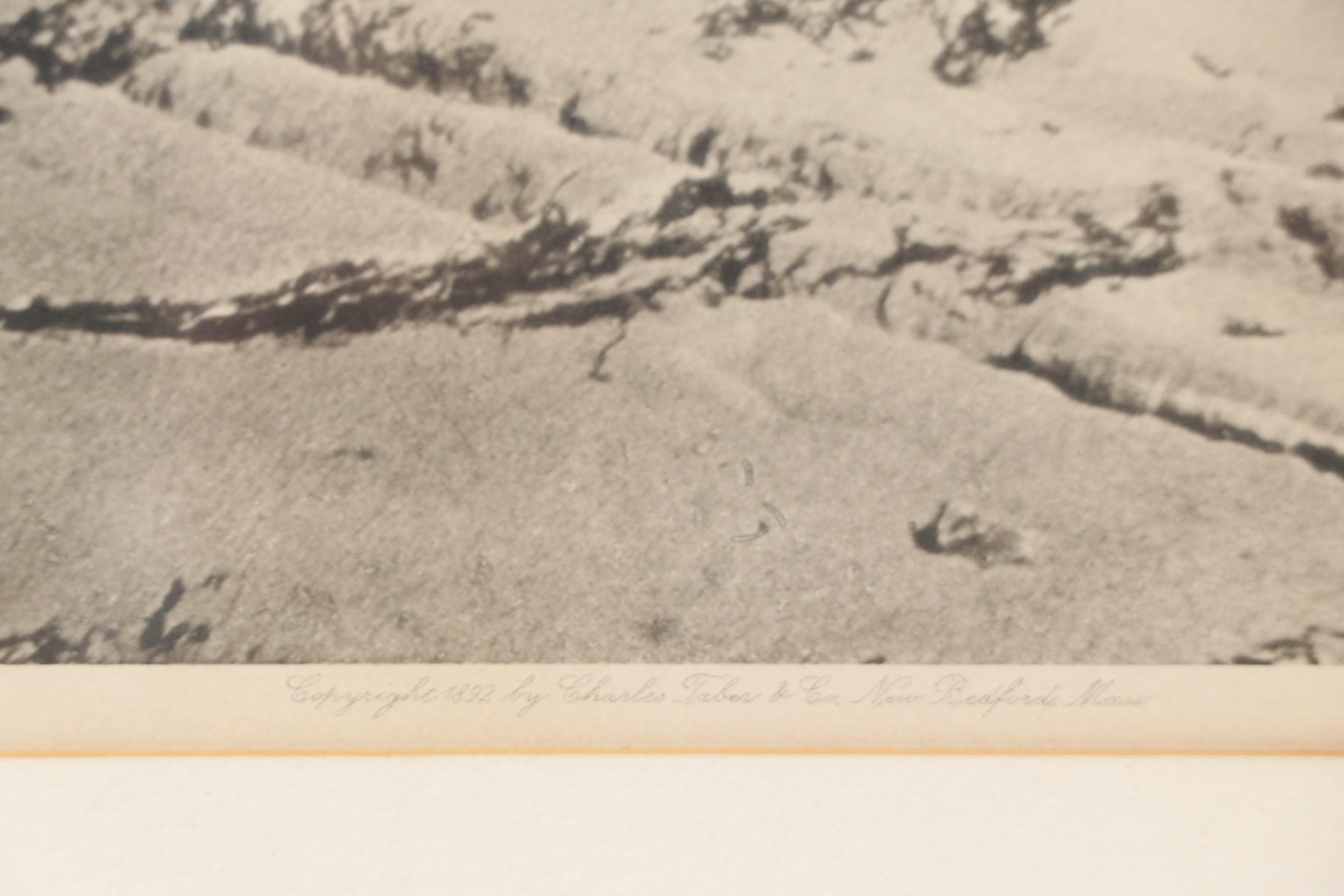 Charles Taber & Co Photogravure of Man and Oxen Tilling Field, 1892