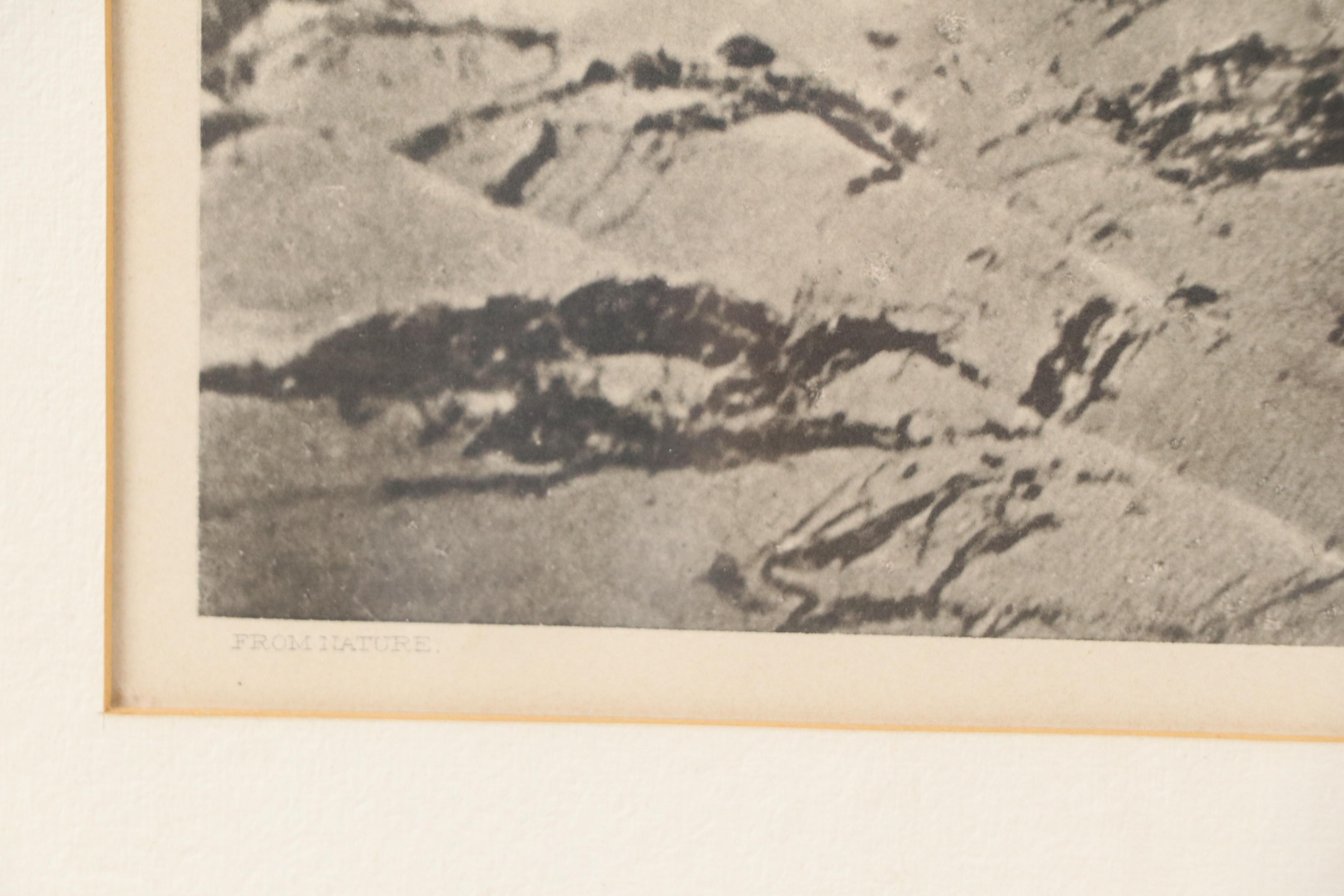 Charles Taber & Co Photogravure of Man and Oxen Tilling Field, 1892