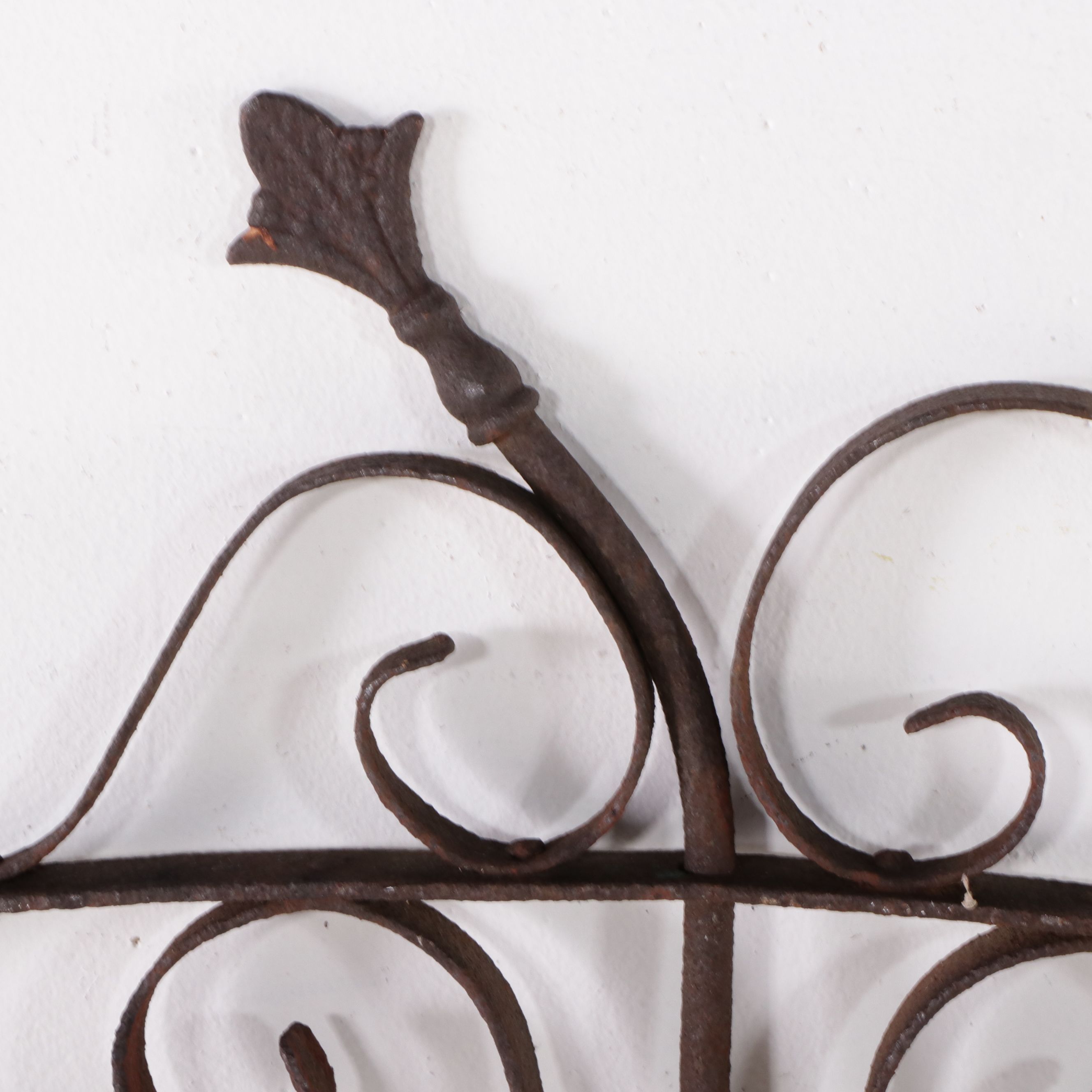 Cincinnati Iron Fence Co. Gate with Other Victorian Style Fence