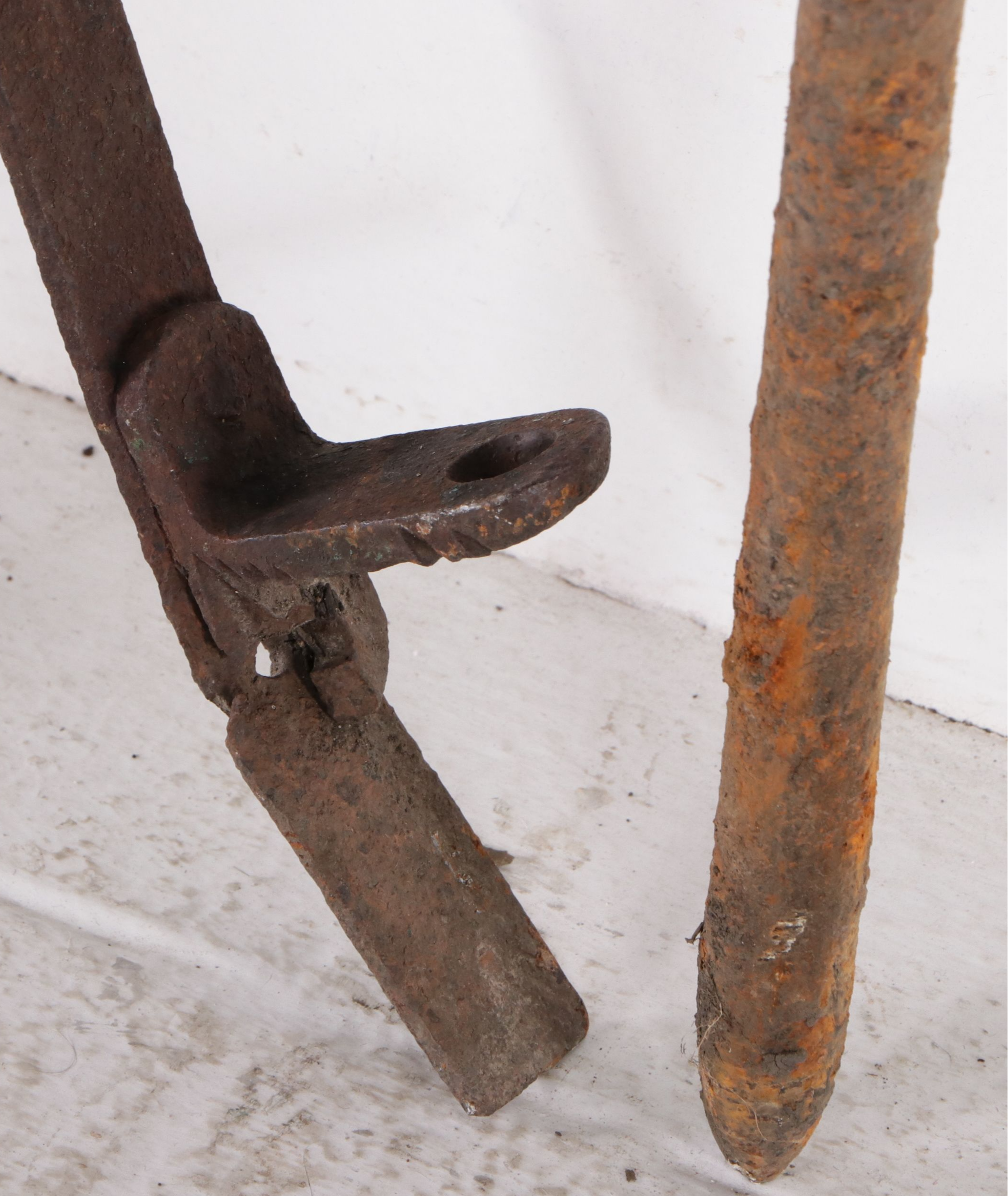 Cincinnati Iron Fence Co. Gate with Other Victorian Style Fence