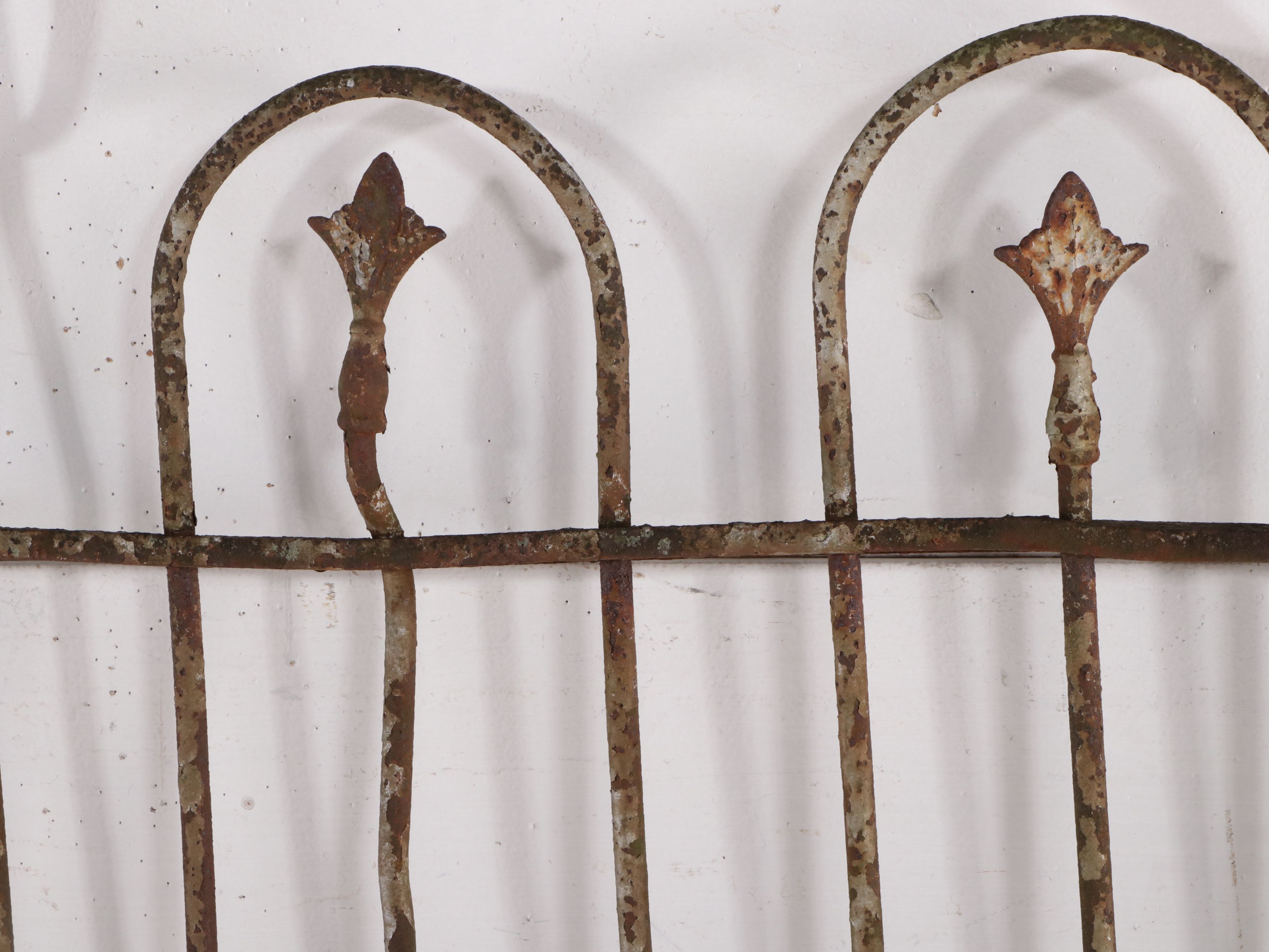 Cincinnati Iron Fence Co. Gate with Other Victorian Style Fence