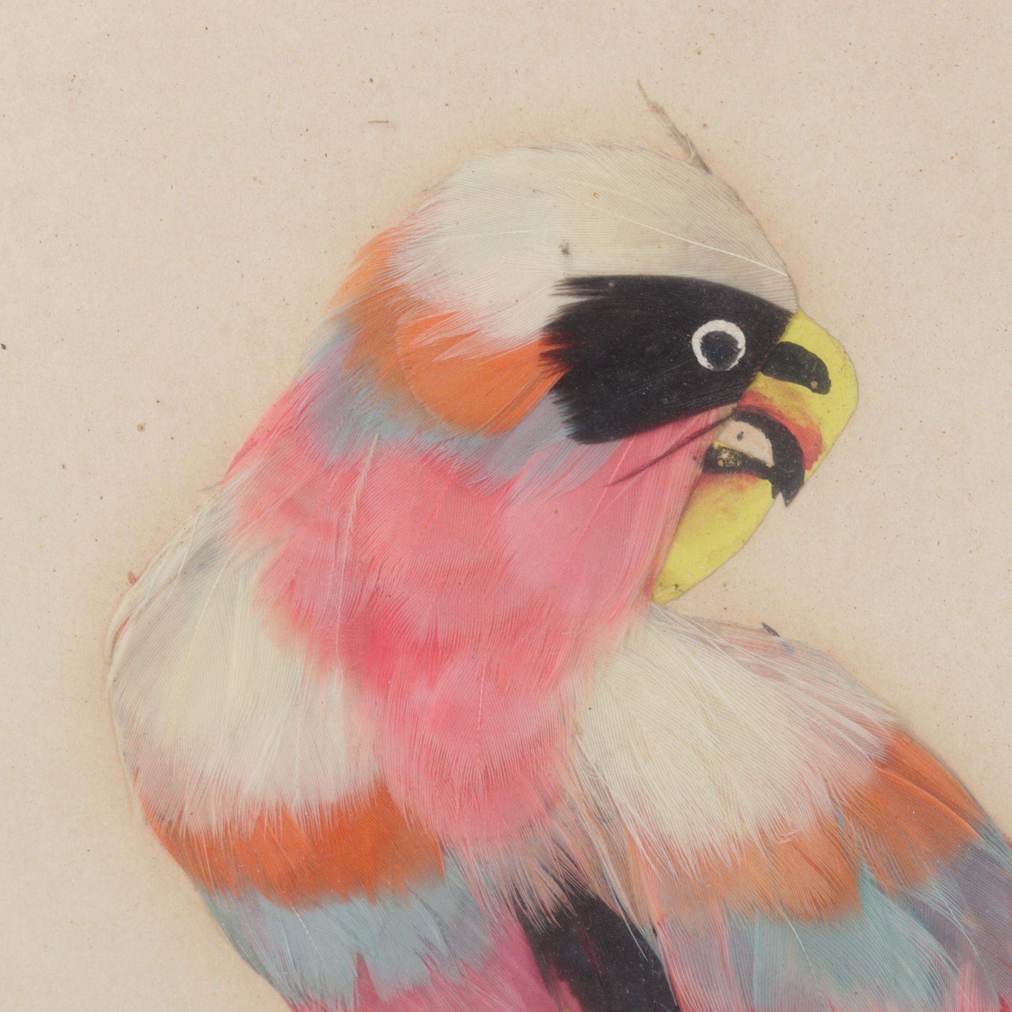 Mexican Feathercraft Compositions of Various Birds, Early to Mid-20th Century