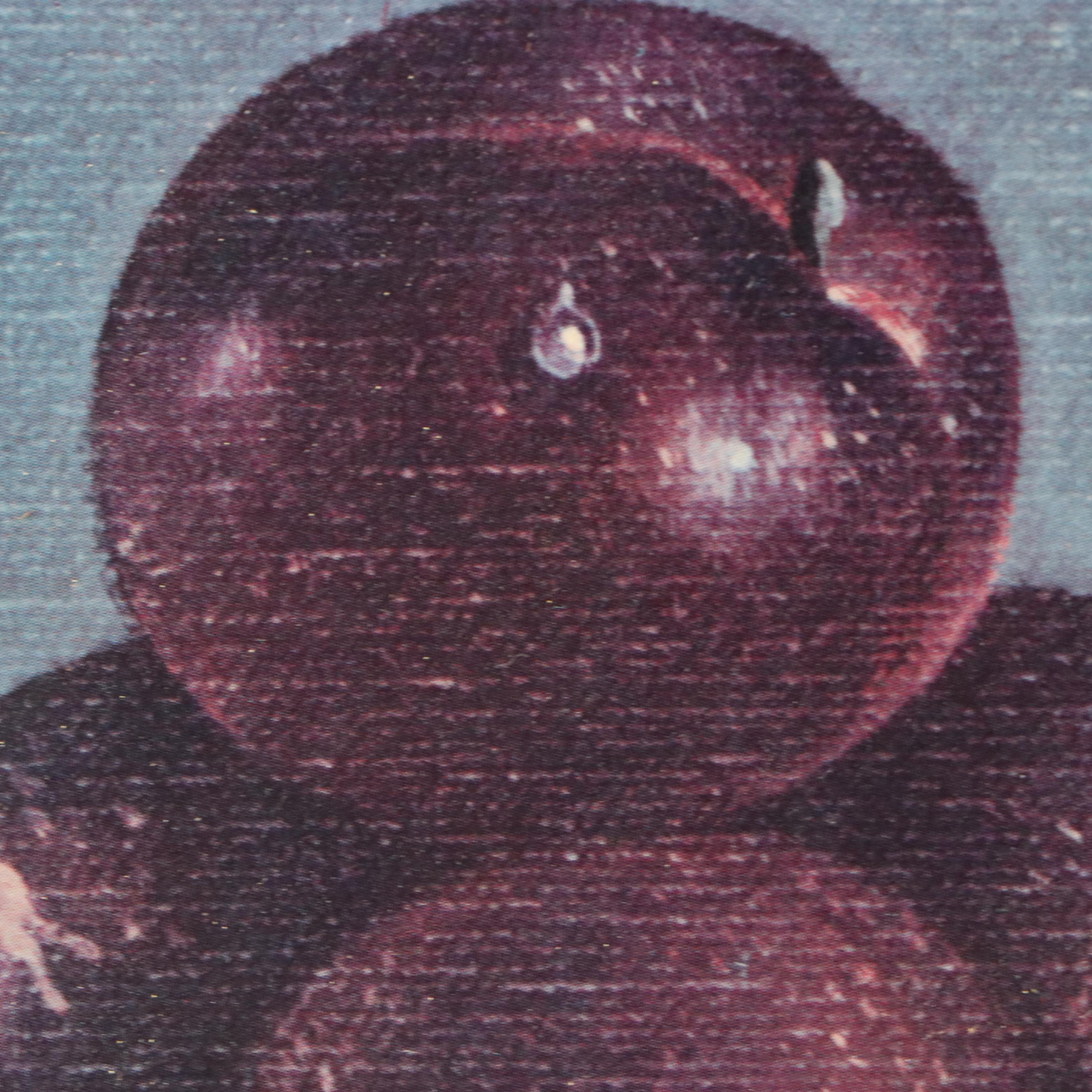 Offset Lithograph After Roberto Lupetti of Still Life with Fruit, 20th Century