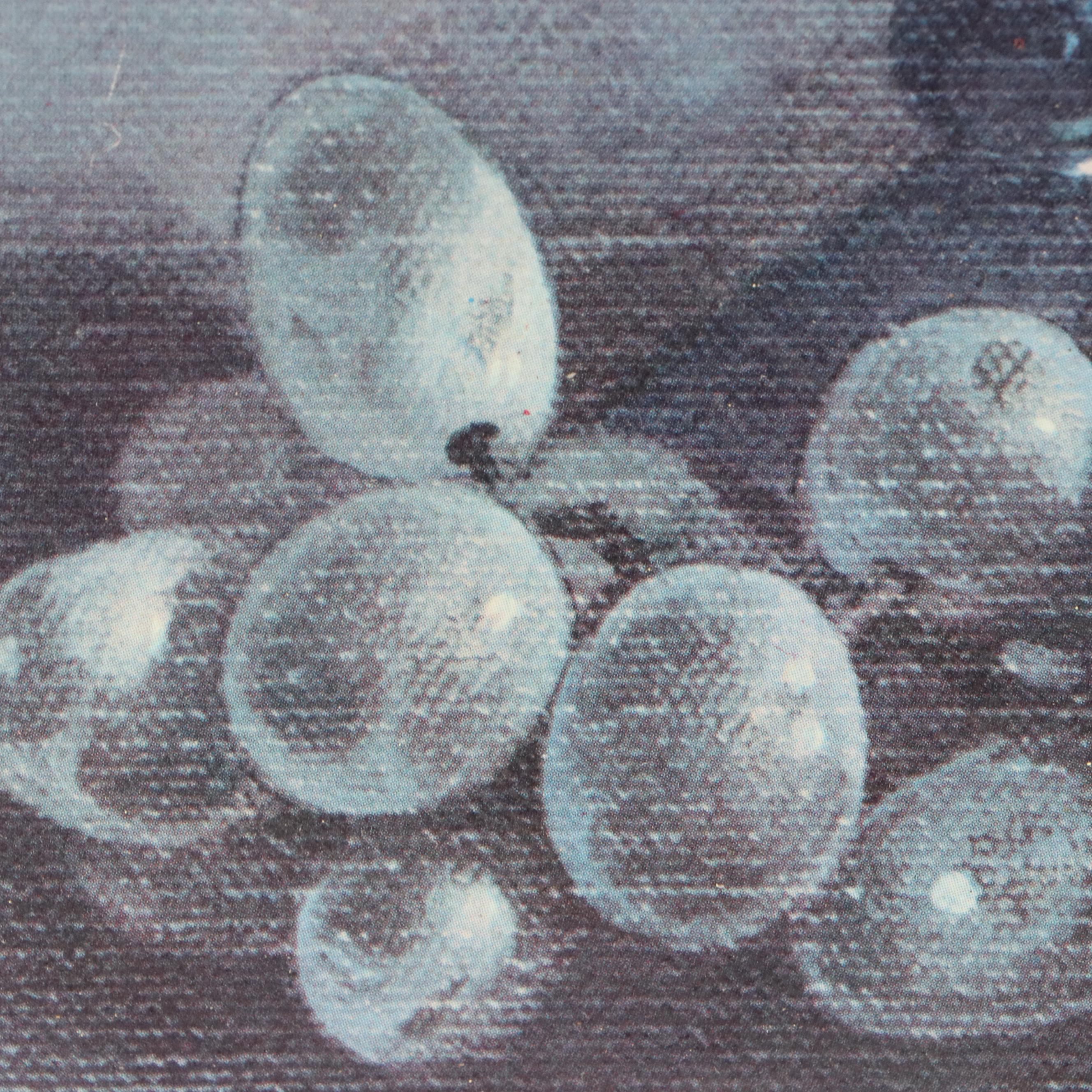 Offset Lithograph After Roberto Lupetti of Still Life with Fruit, 20th Century