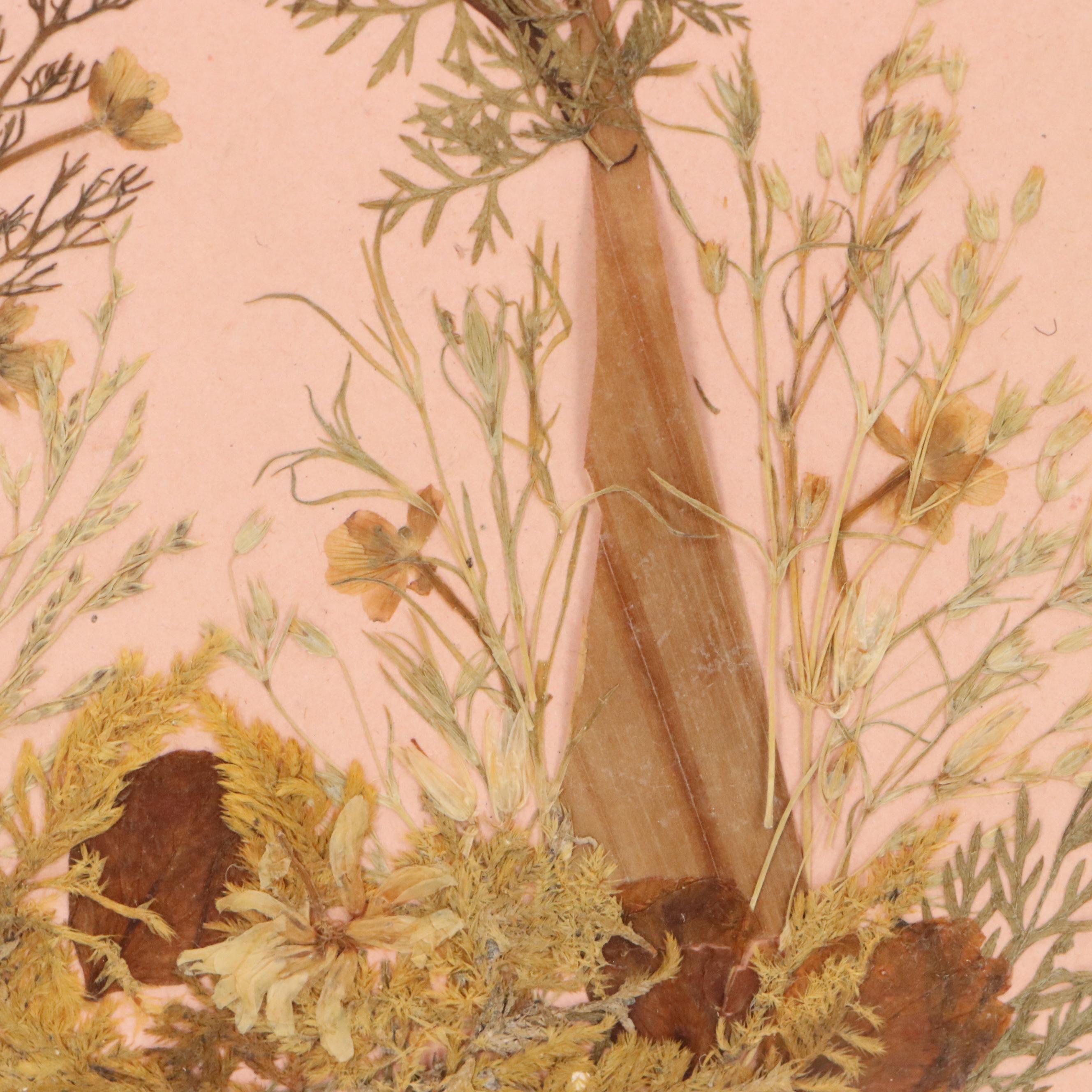 Dried Botanical Arrangment "Fleurs de Tombeau des Rois," Circa 1872