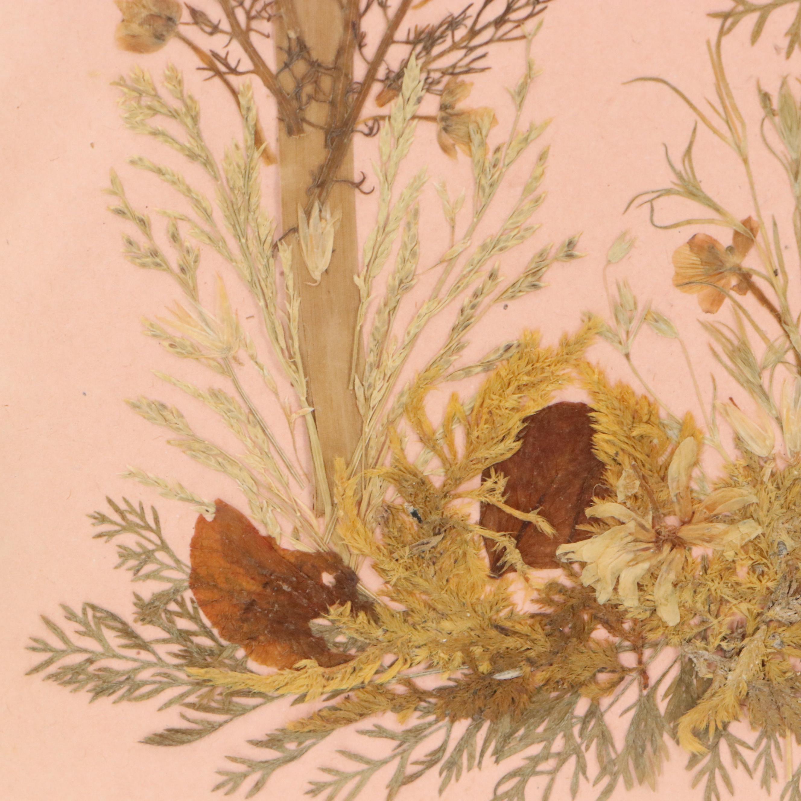 Dried Botanical Arrangment "Fleurs de Tombeau des Rois," Circa 1872