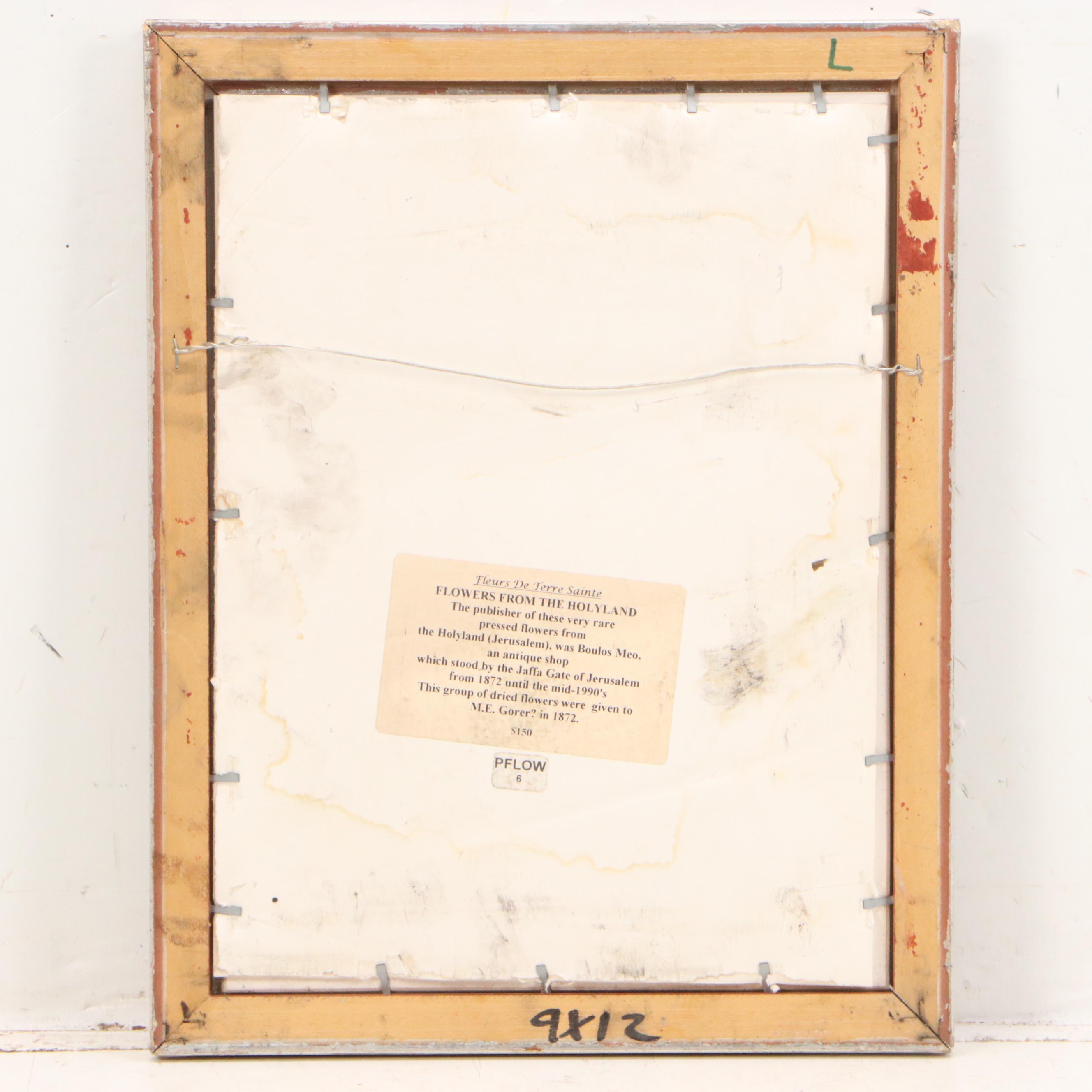 Dried Botanical Arrangment "Fleurs de Tombeau des Rois," Circa 1872