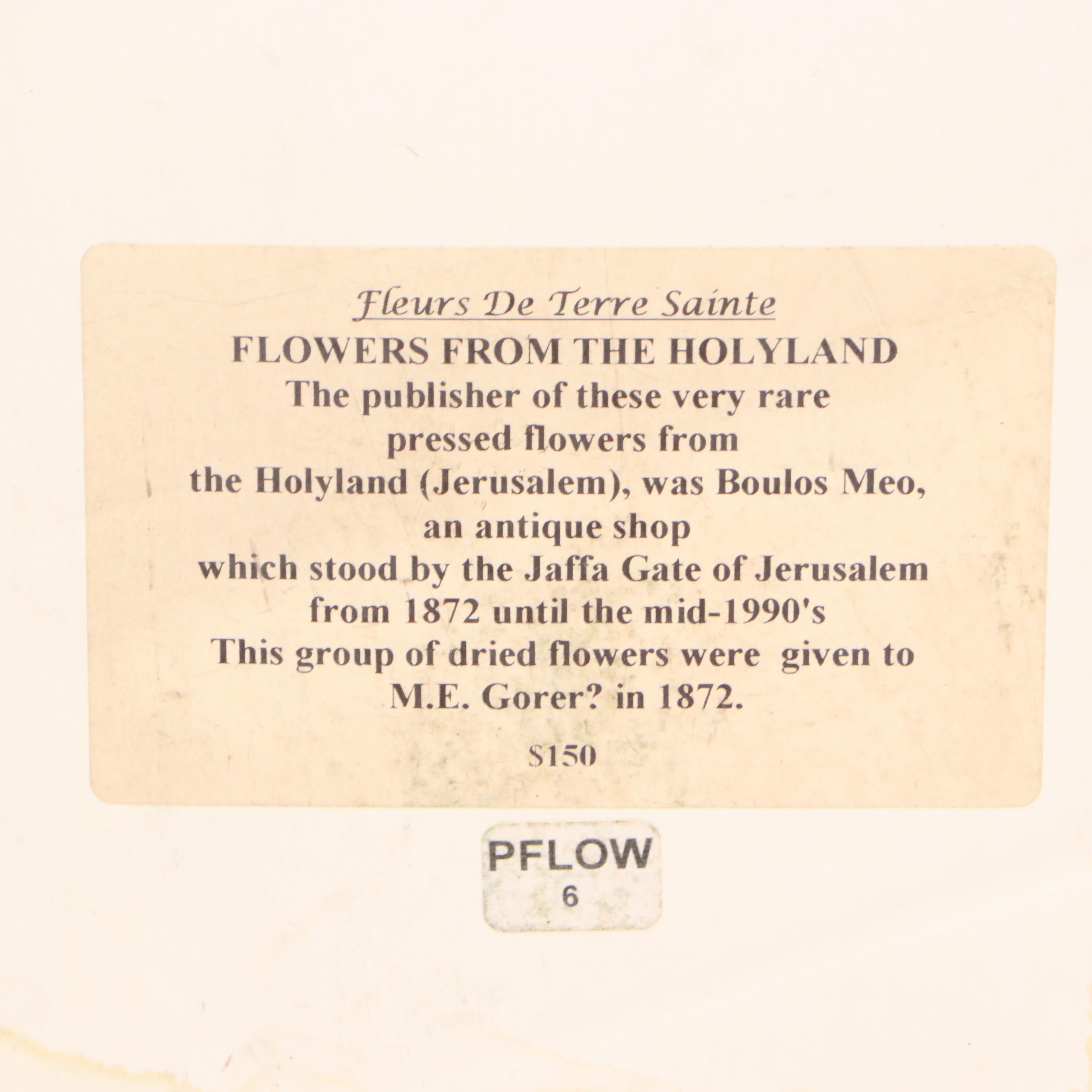 Dried Botanical Arrangment "Fleurs de Tombeau des Rois," Circa 1872