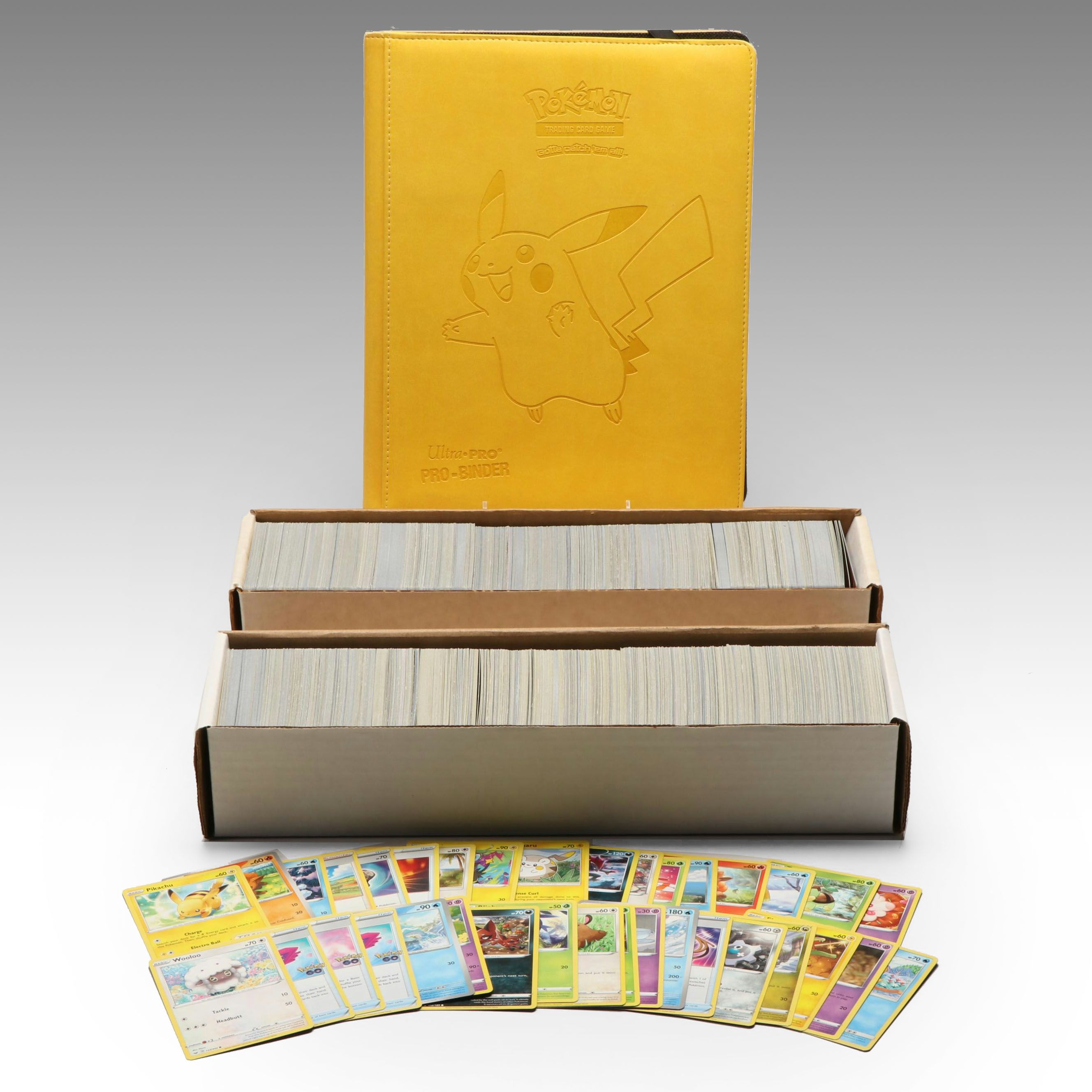 Pokémon Trading Cards in Album and Storage Boxes Incl. Holofoil Sceptile