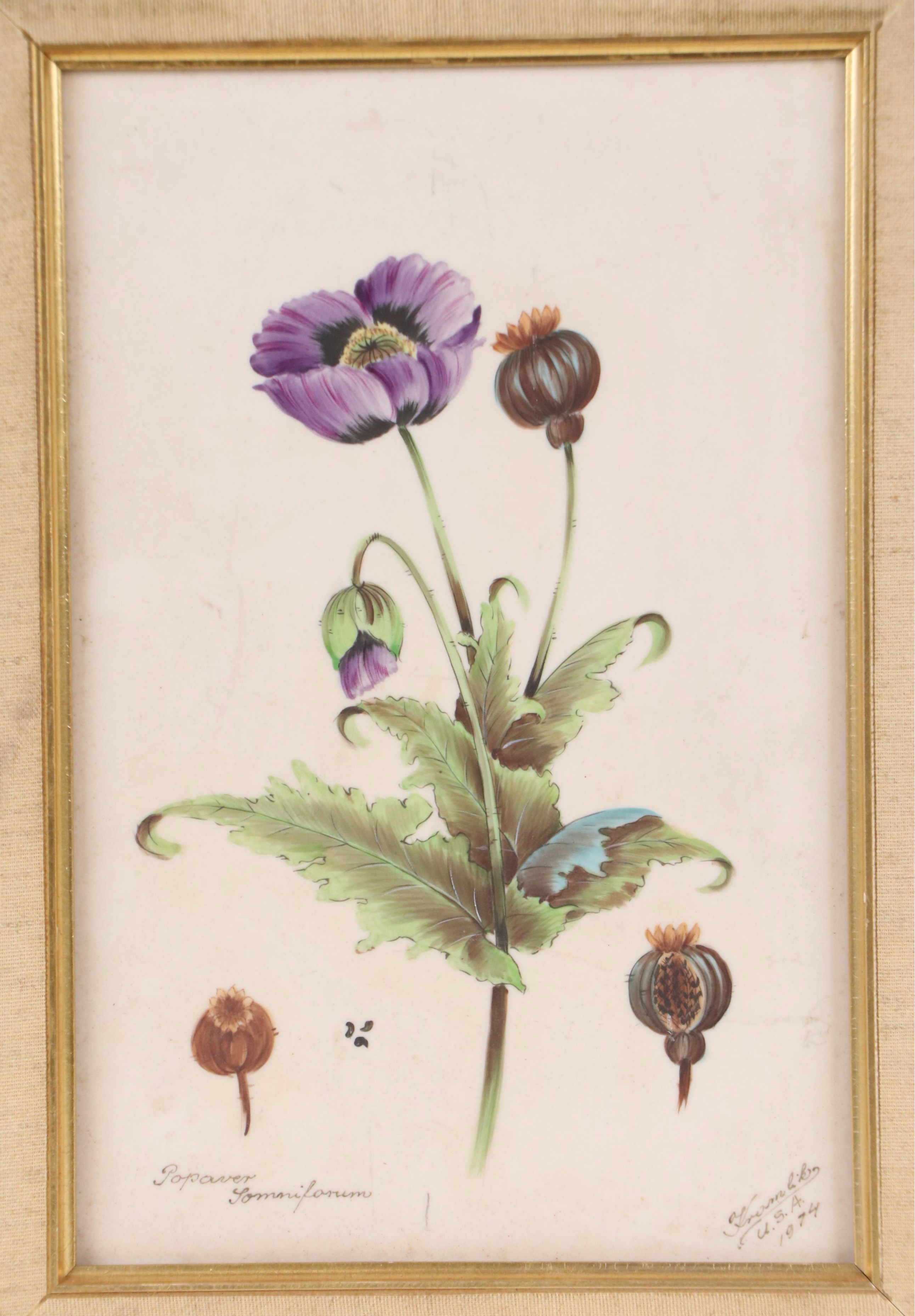 Ba'Lint Kramlik Floral Hand-Painted Porcelain Tile of Opium Poppy, 1974