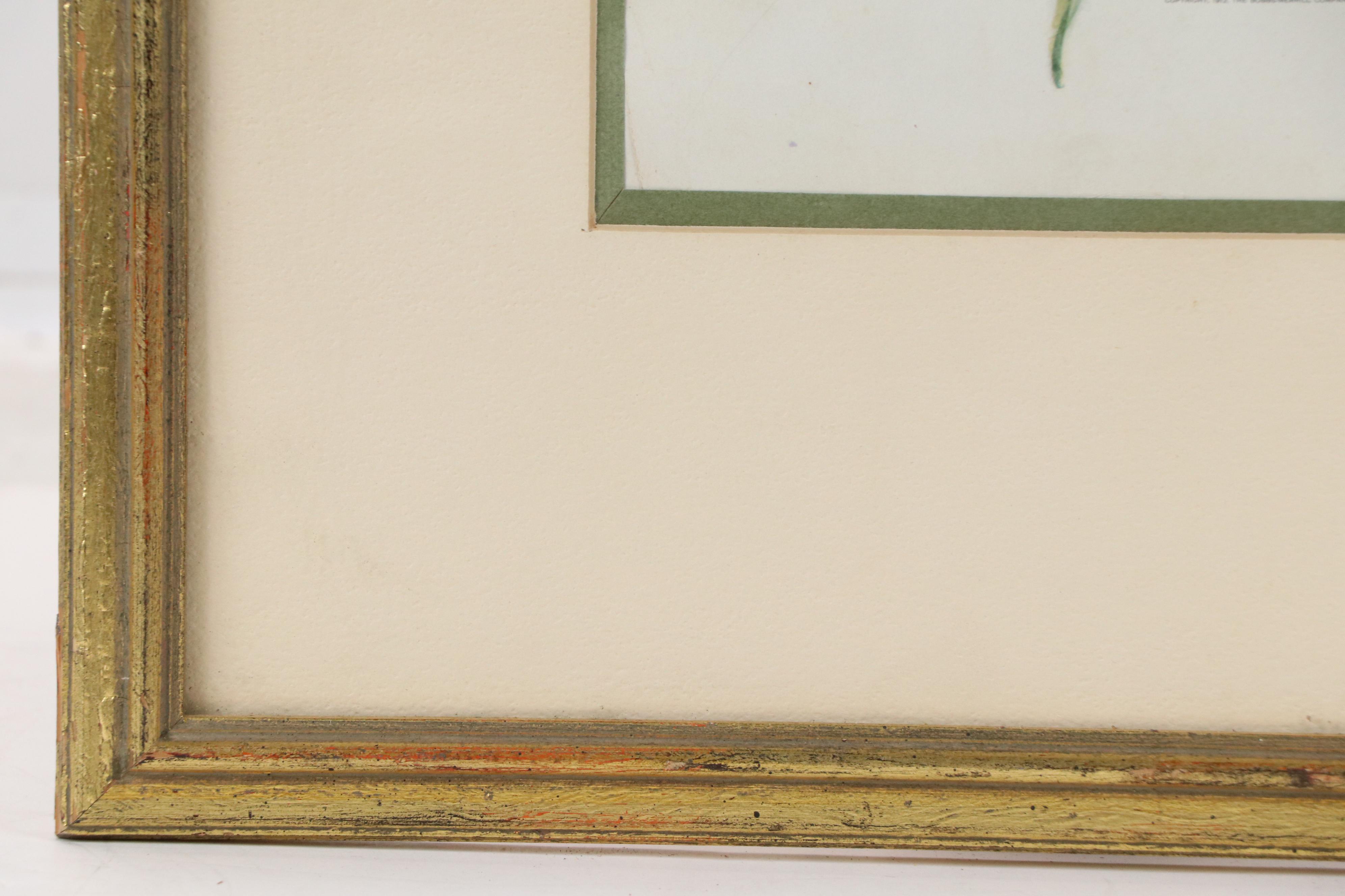 Henry Hutt Offset Lithograph of Woman with Large Green Hat, 1912