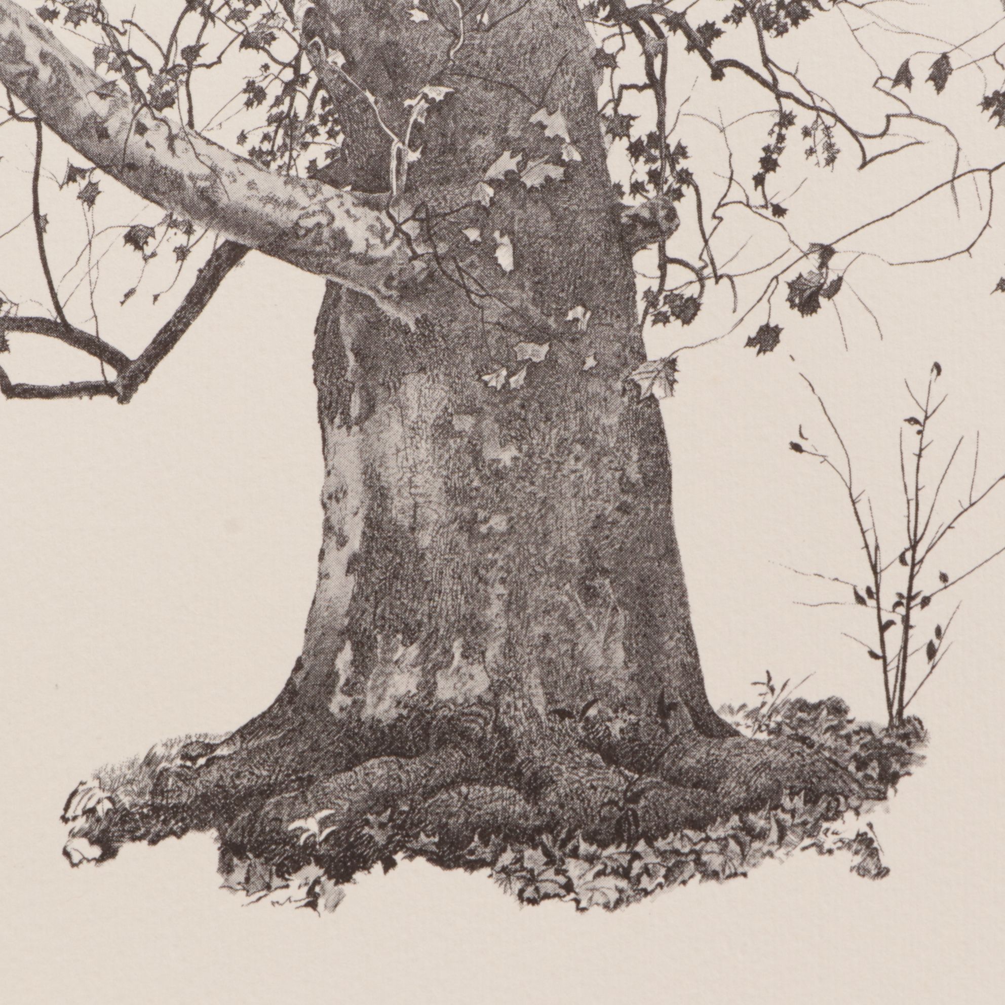 Offset Lithograph Portfolio After Andrew Wyeth "The Four Seasons", 1962