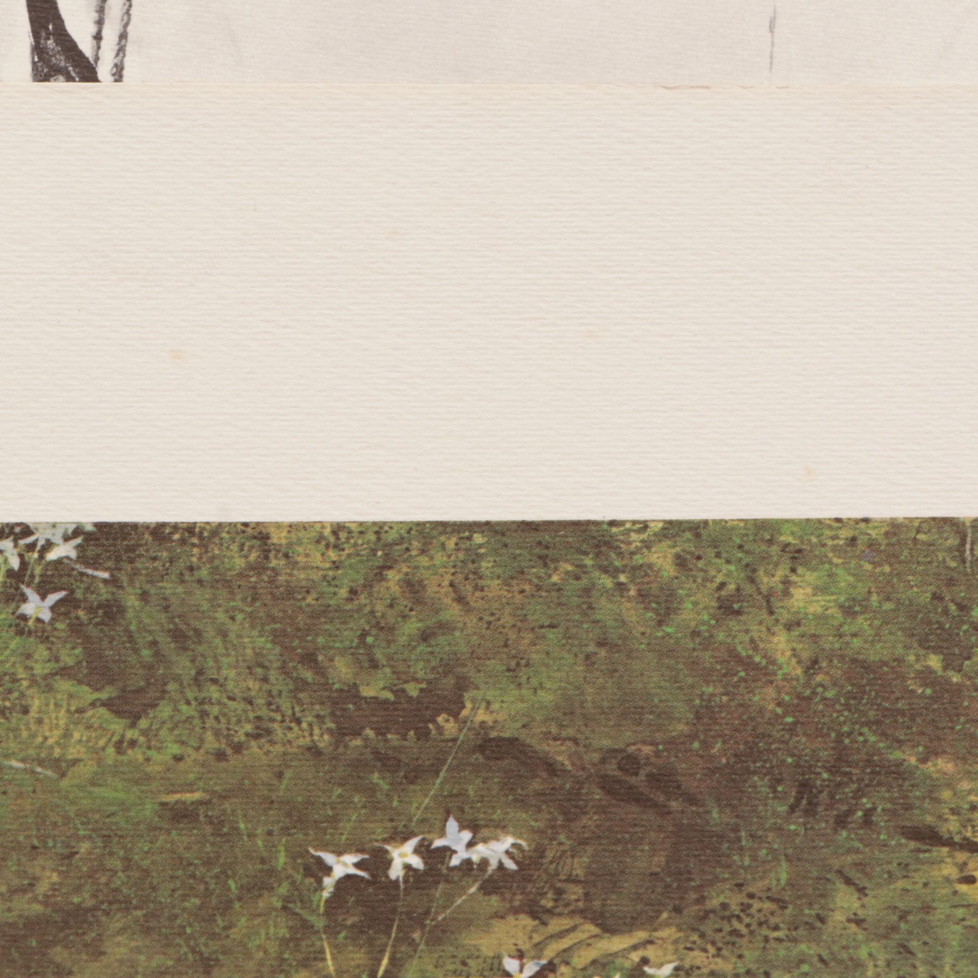 Offset Lithograph Portfolio After Andrew Wyeth "The Four Seasons", 1962