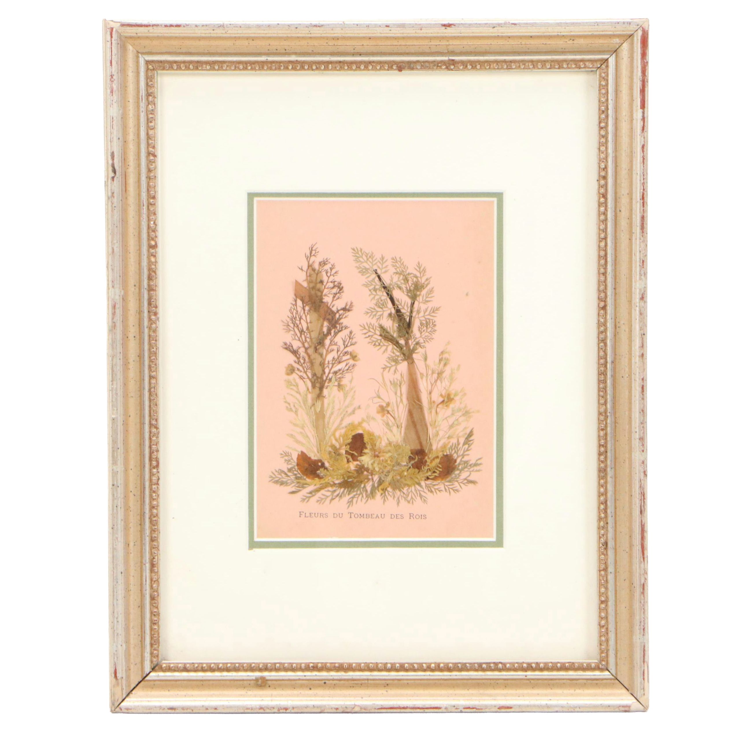 Dried Botanical Arrangment "Fleurs de Tombeau des Rois," Circa 1872