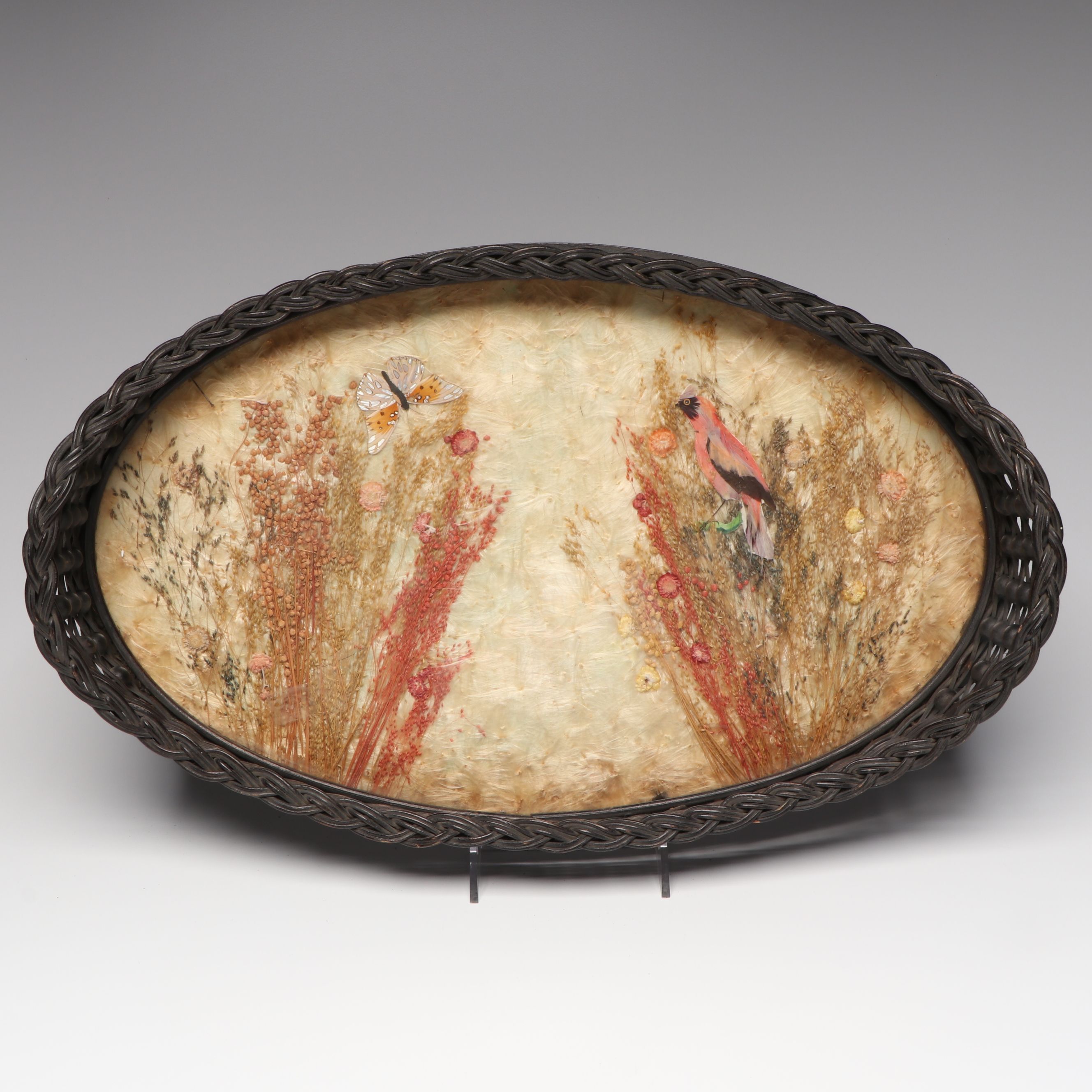 Butterfly, Feather and Botanical Composition Under Glass Tray with Wicker Border