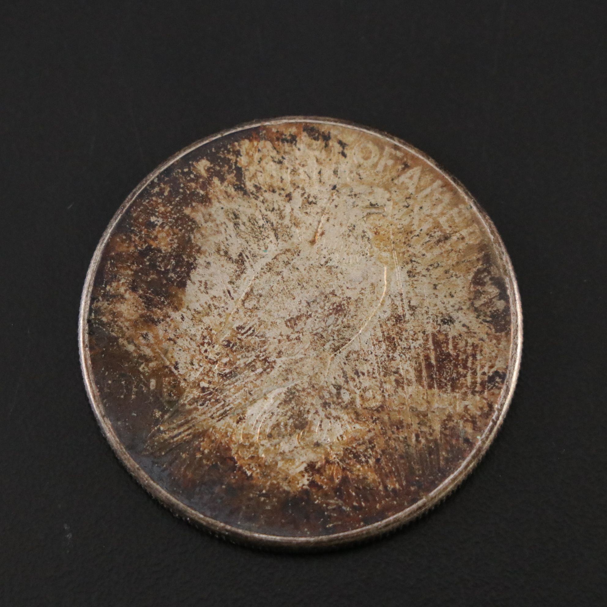 Five Peace Silver Dollars