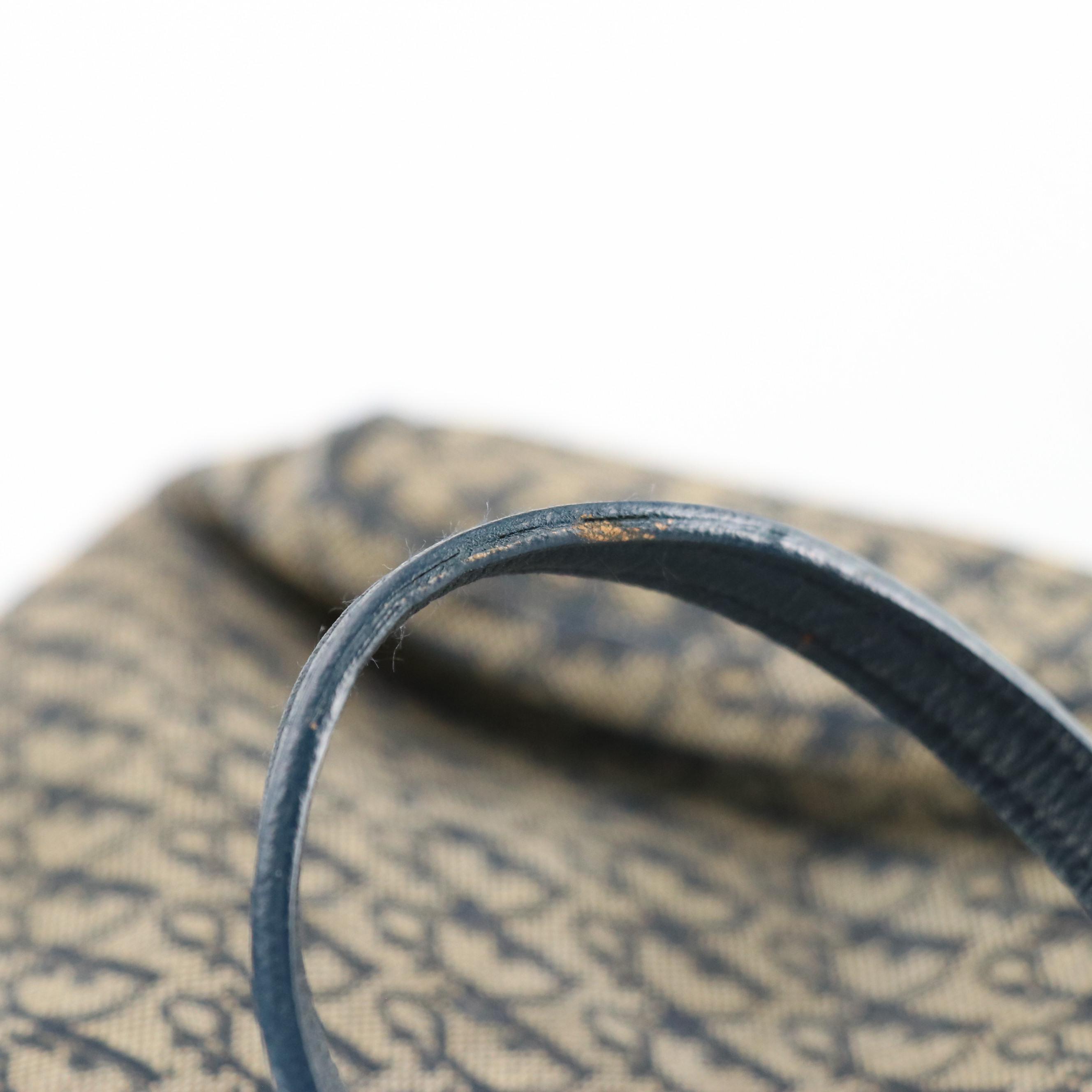 Christian Dior Cosmetic/Travel Bag in Blue Diorissimo Canvas and Leather