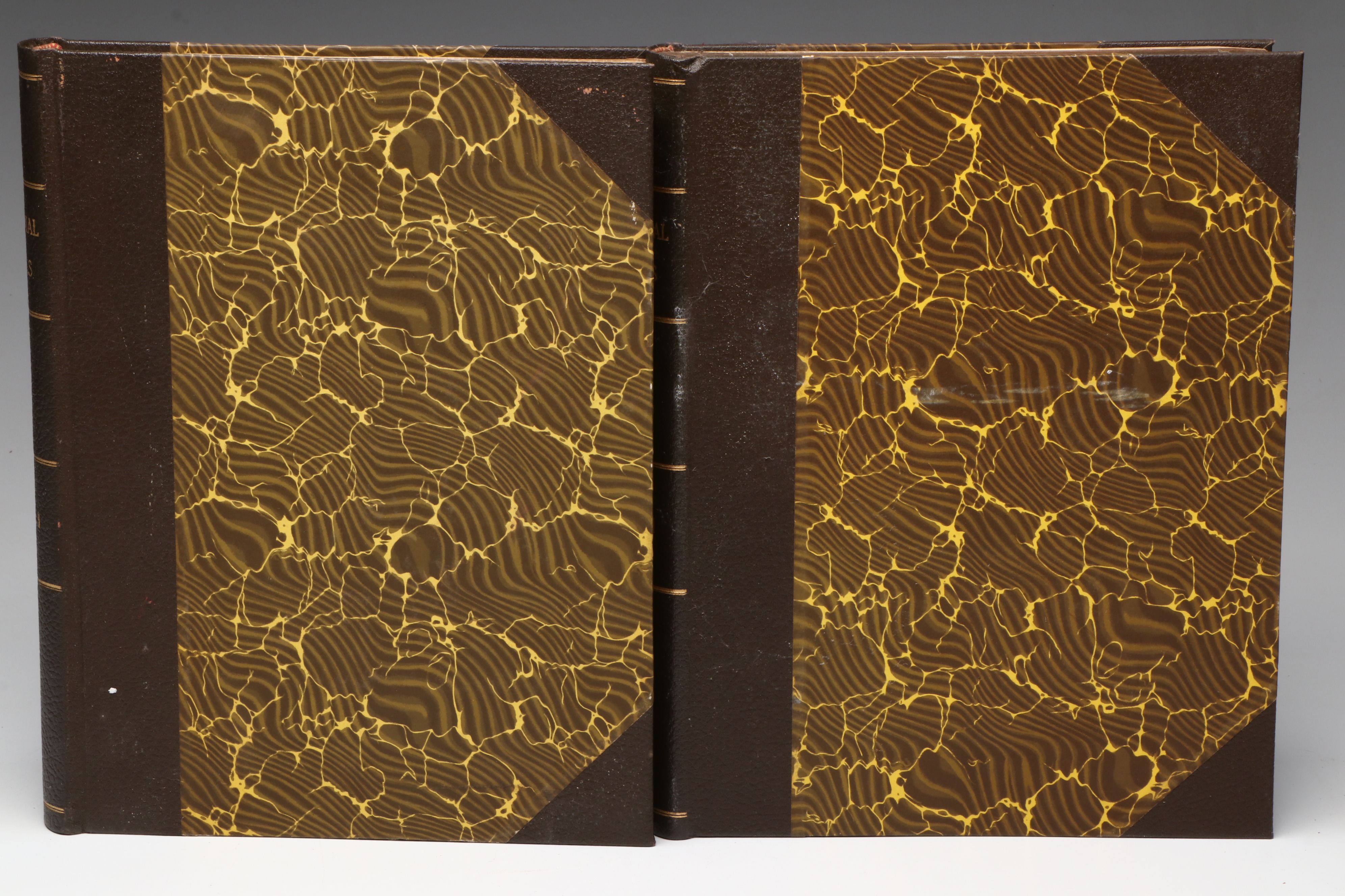 "The Baronial Halls and Picturesque Edifices of England" by S. C. Hall, 1848