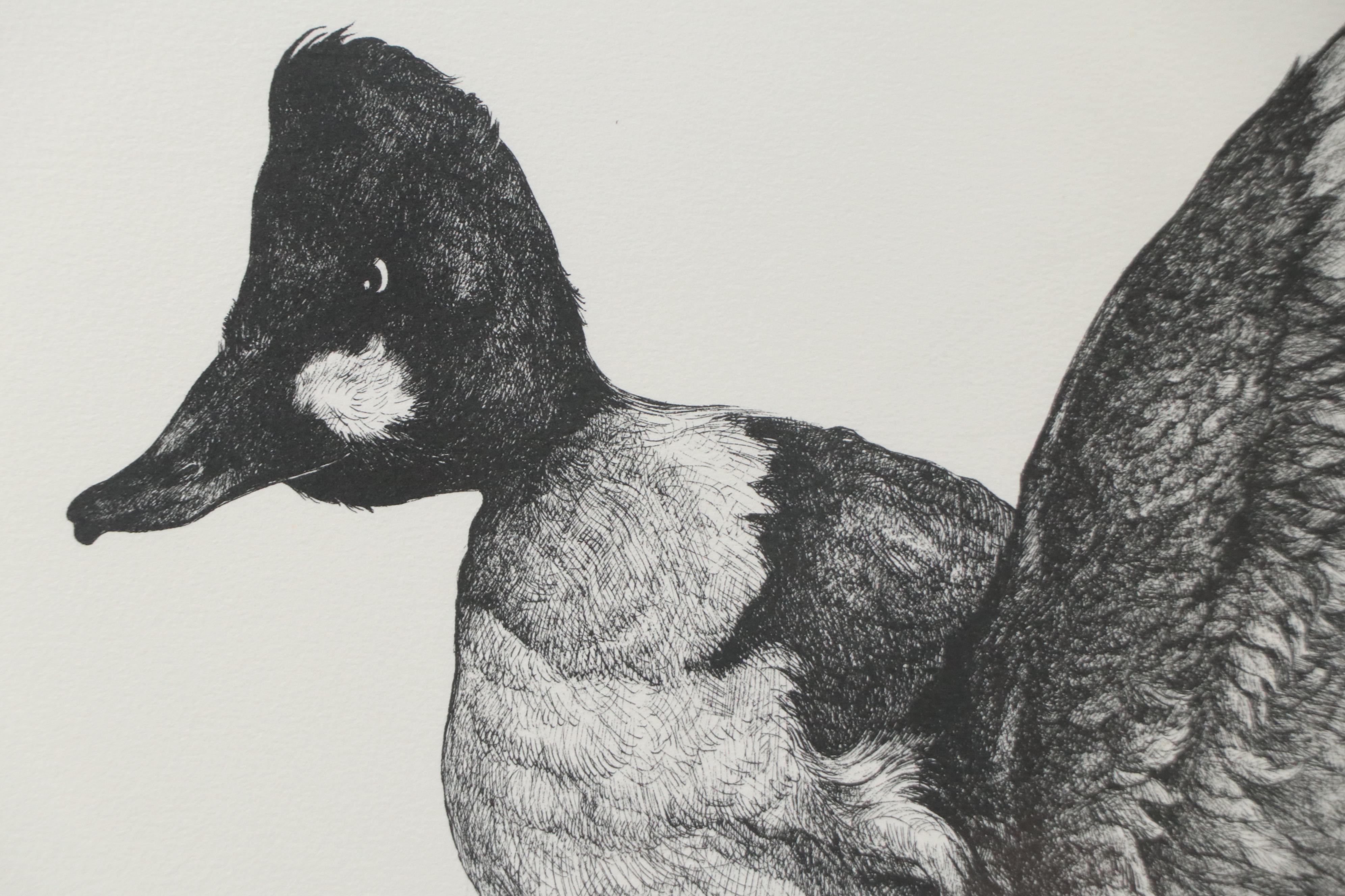James D. Joyner Ink Drawing of Flying Duck, 1972