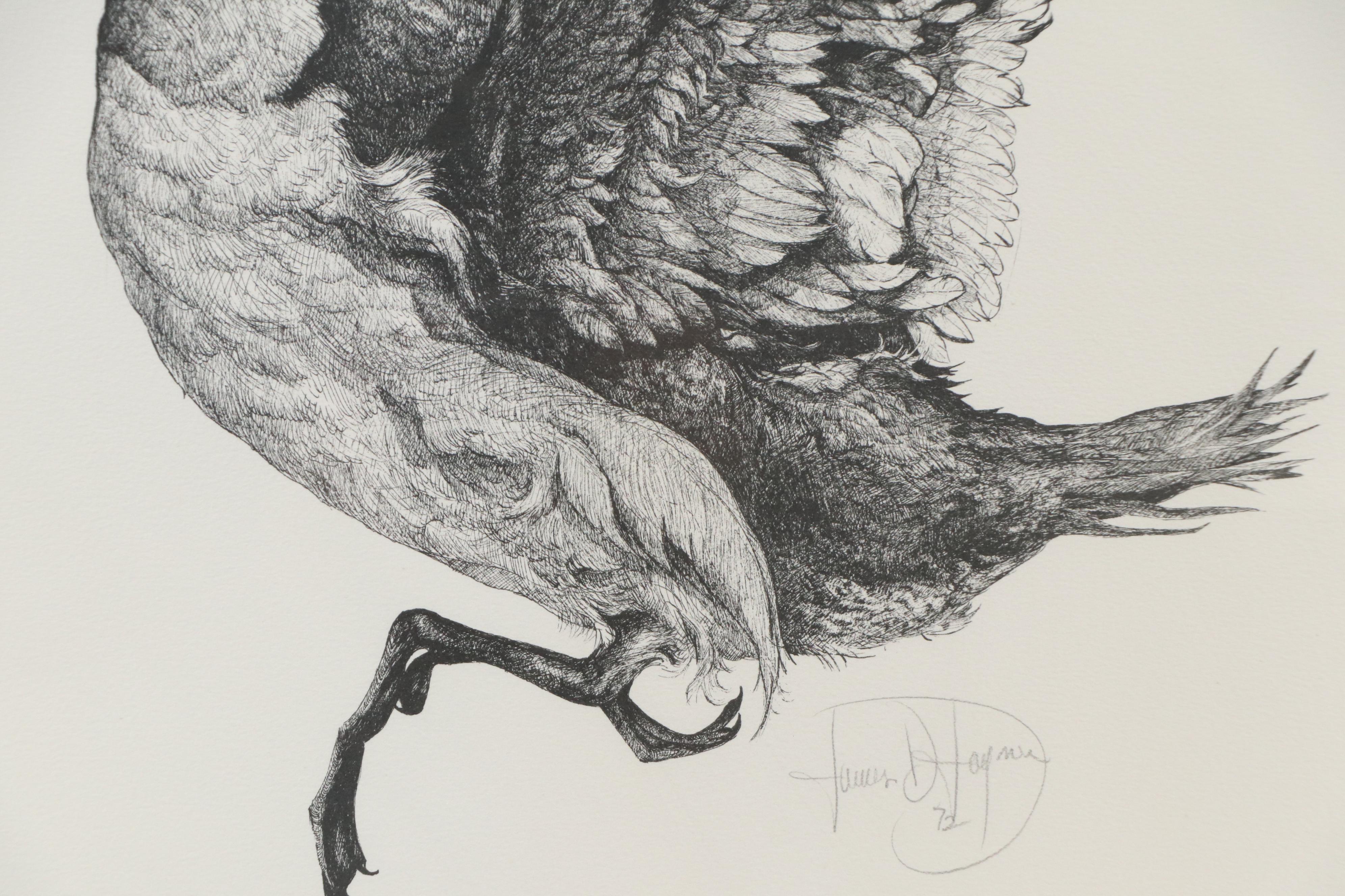 James D. Joyner Ink Drawing of Flying Duck, 1972