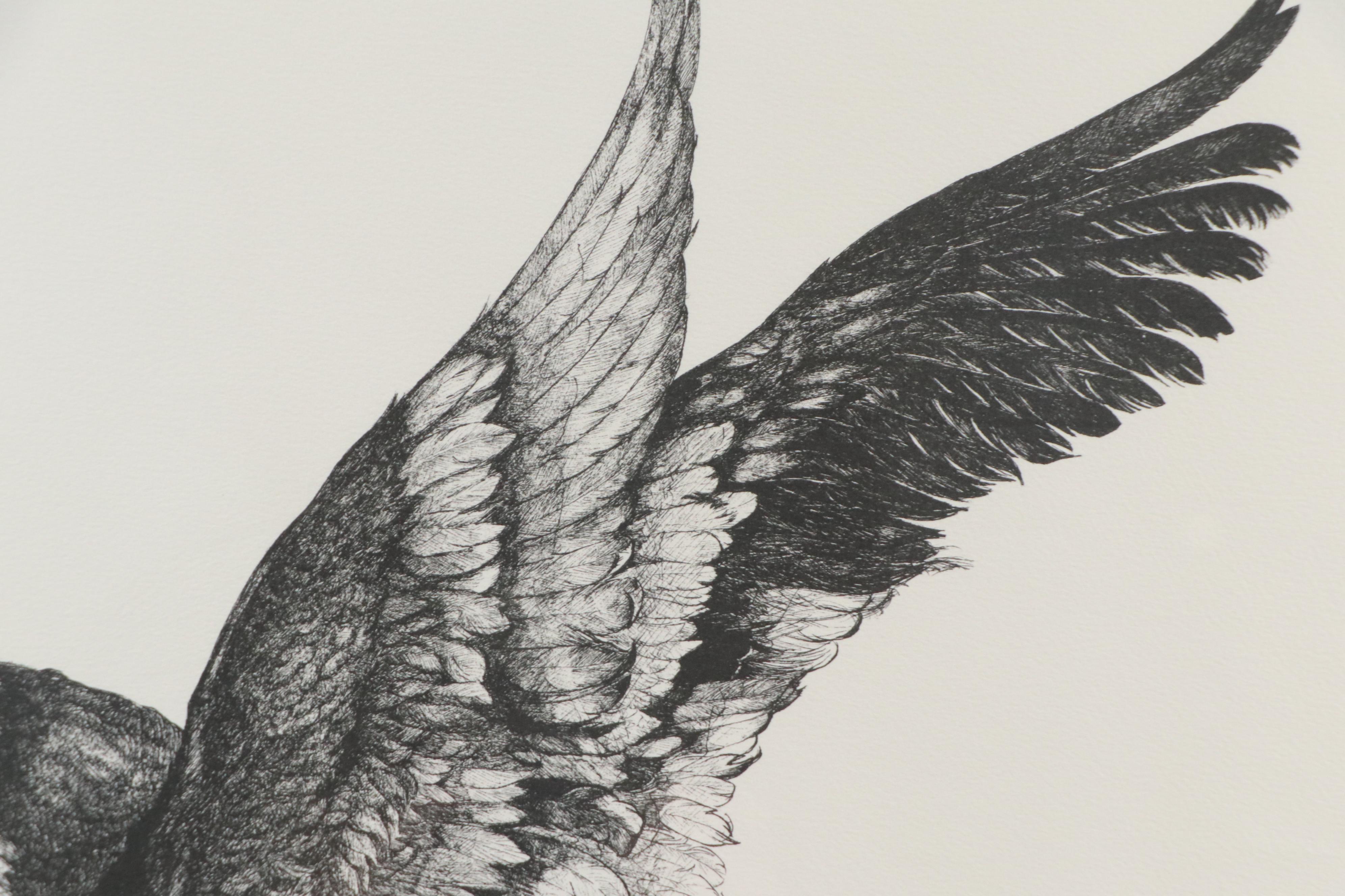 James D. Joyner Ink Drawing of Flying Duck, 1972