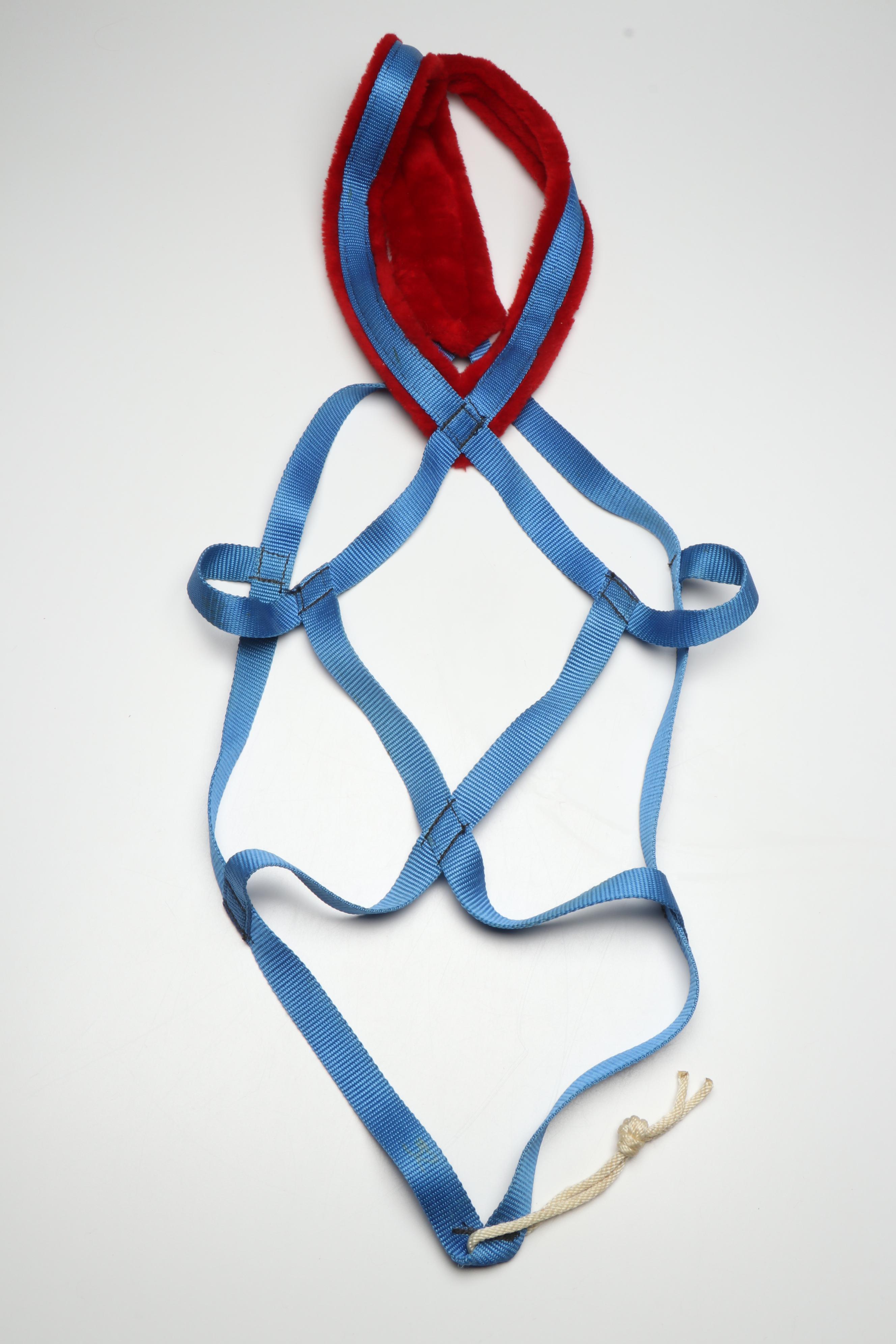 Nylon X-Back Dog Mushing Harness