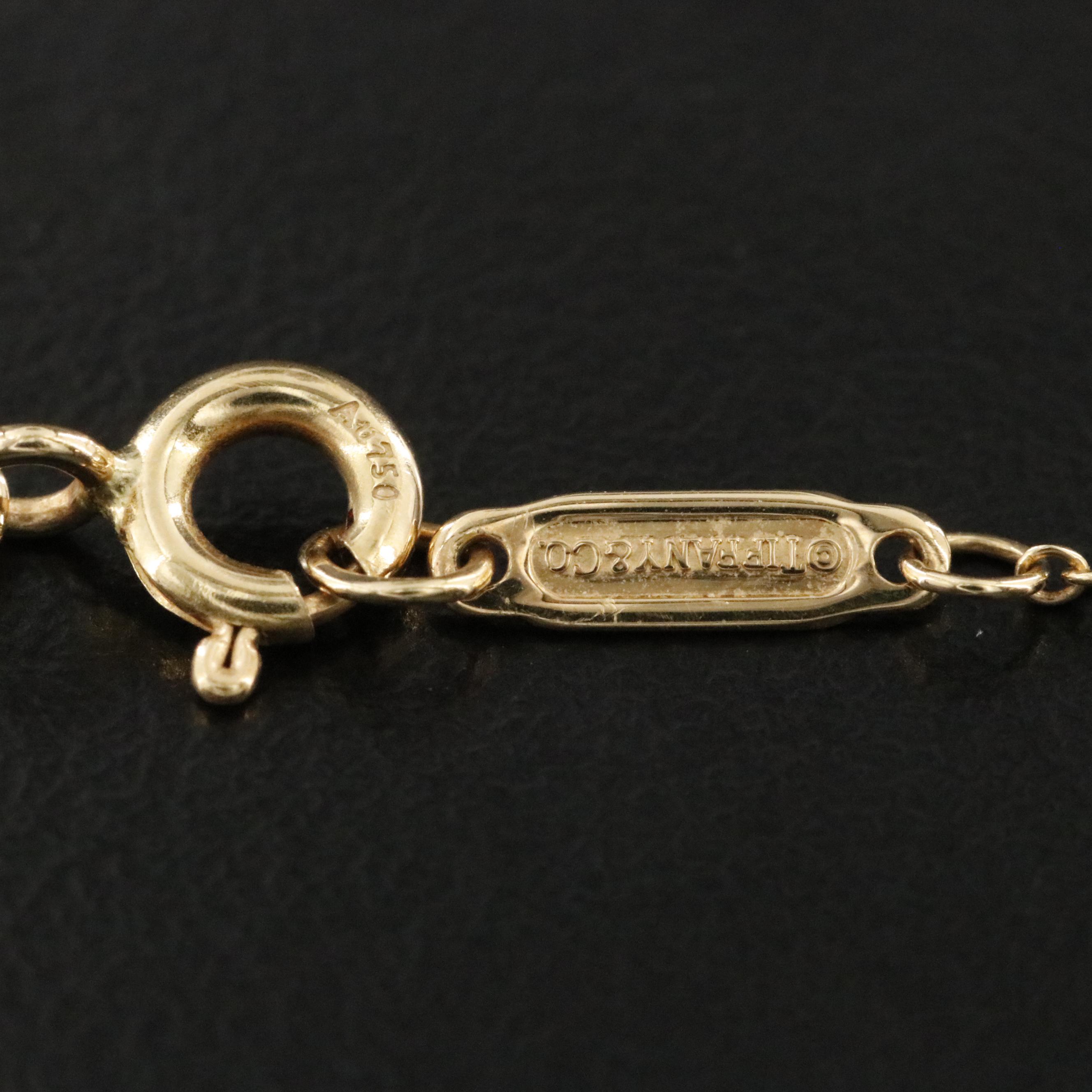 Tiffany & Co. Sixteen Stone by Tiffany 18K Platinum, 0.24 CTW Diamond Necklace